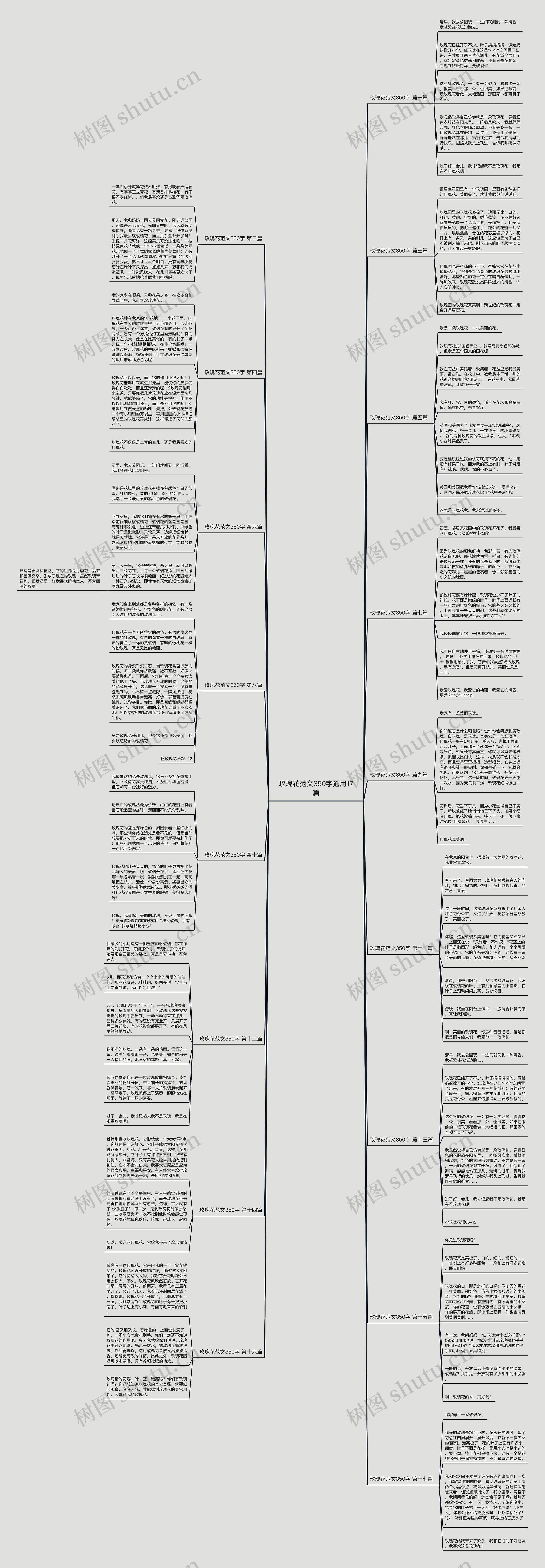 玫瑰花范文350字通用17篇 玫瑰花范文350字通用17篇