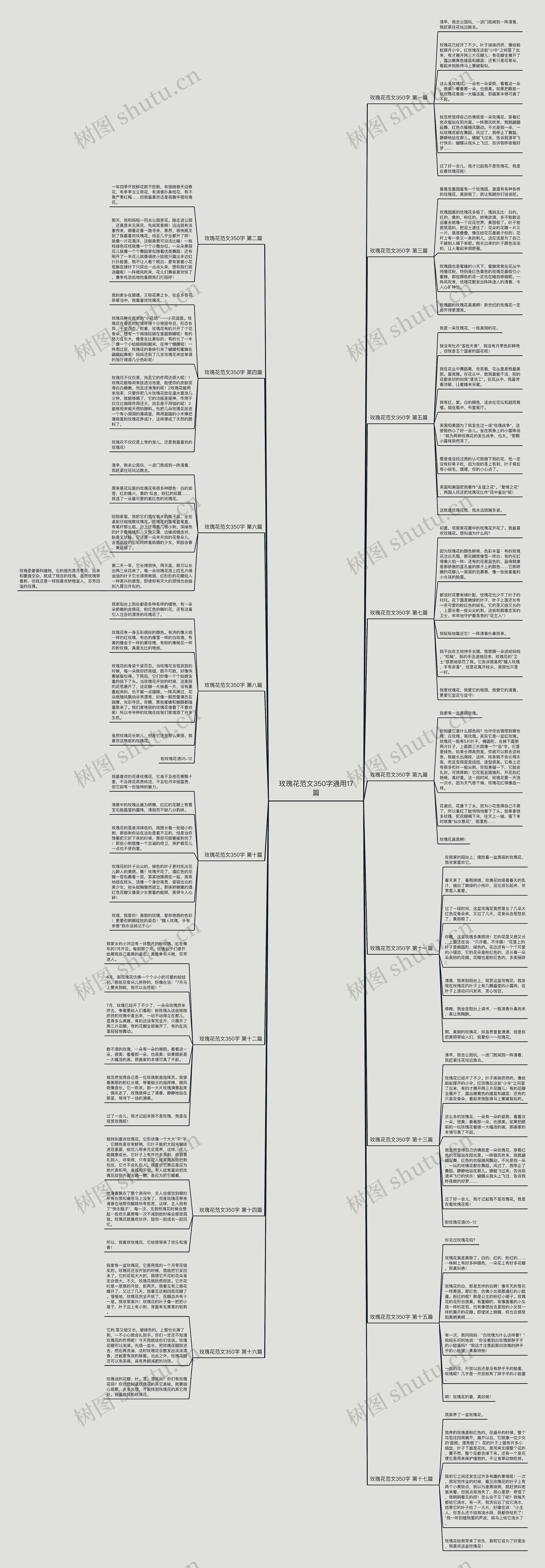 玫瑰花范文350字通用17篇思维导图