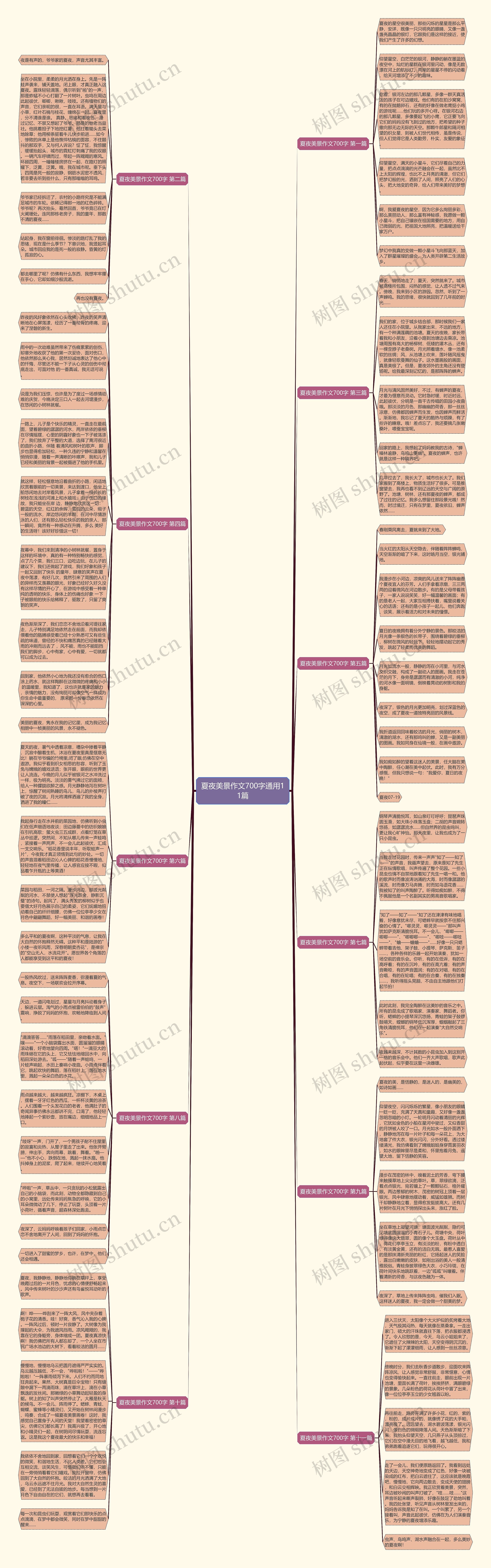 夏夜美景作文700字通用11篇思维导图