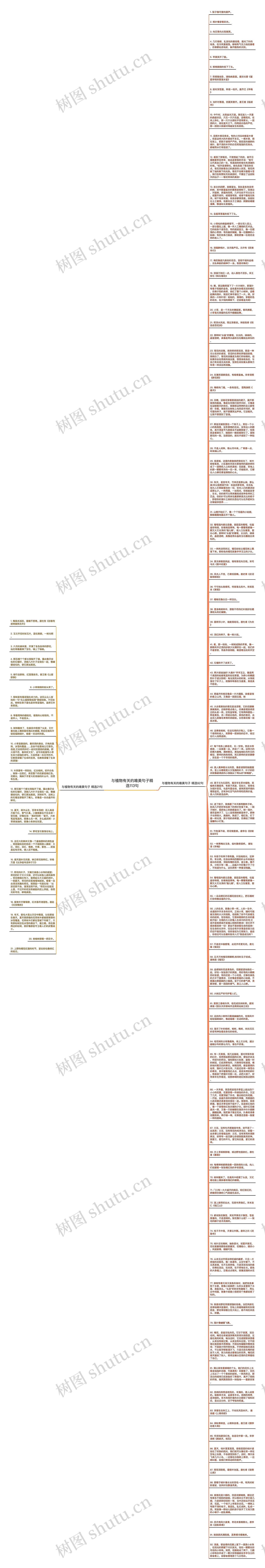 与植物有关的唯美句子精选113句思维导图