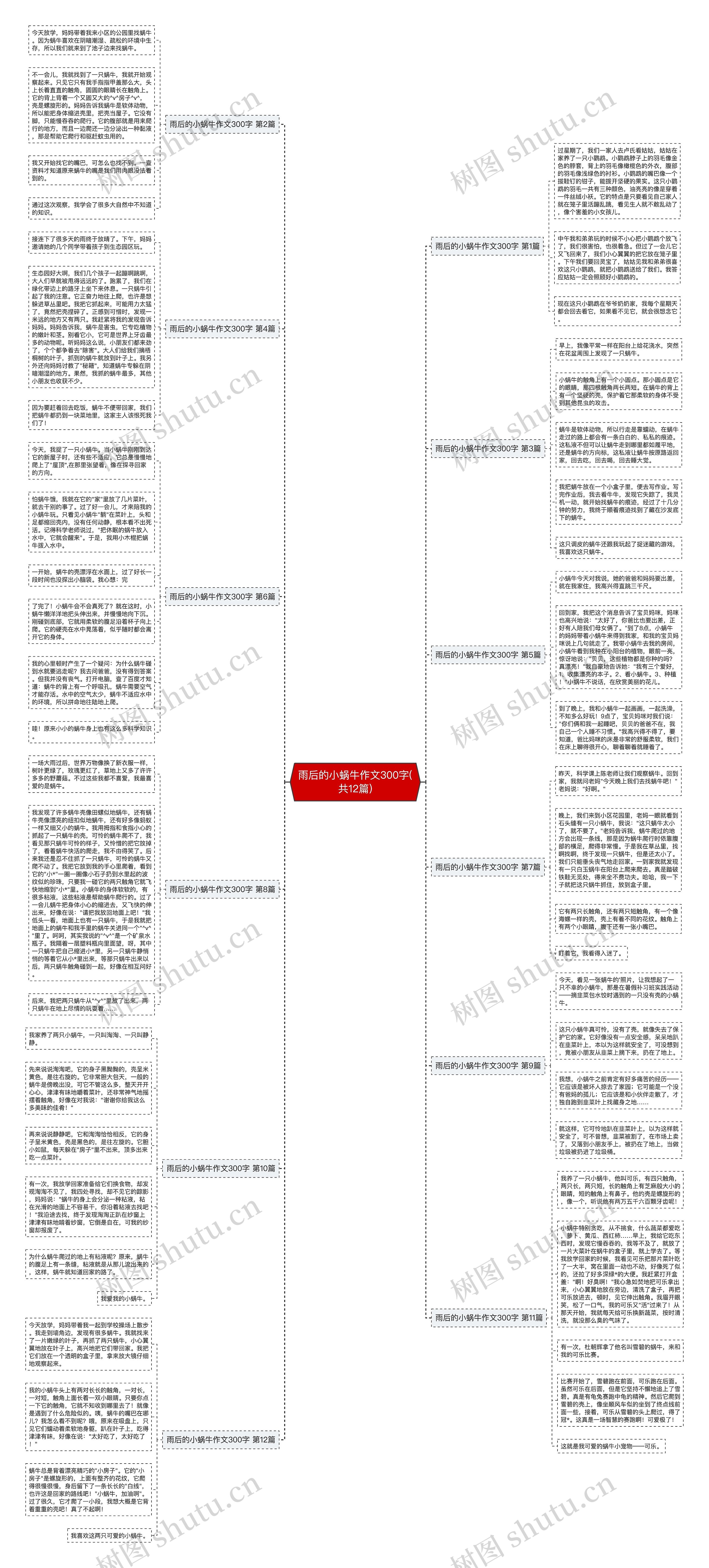 雨后的小蜗牛作文300字(共12篇) 雨后的小蜗牛作文300字(共12篇)