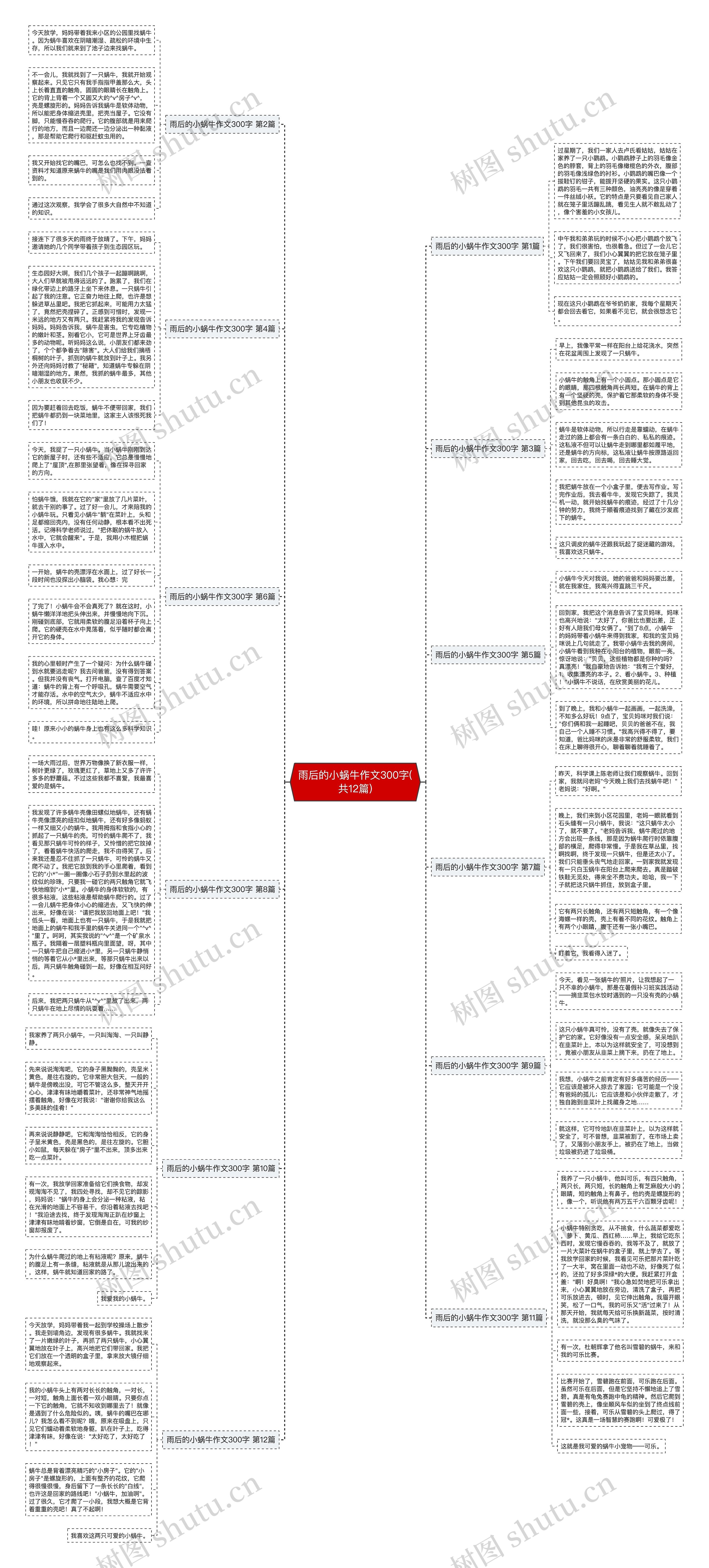 雨后的小蜗牛作文300字(共12篇)思维导图