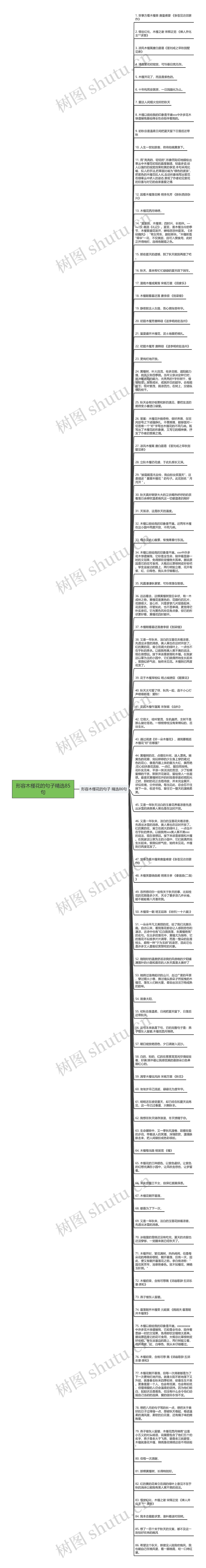 形容木槿花的句子精选85句