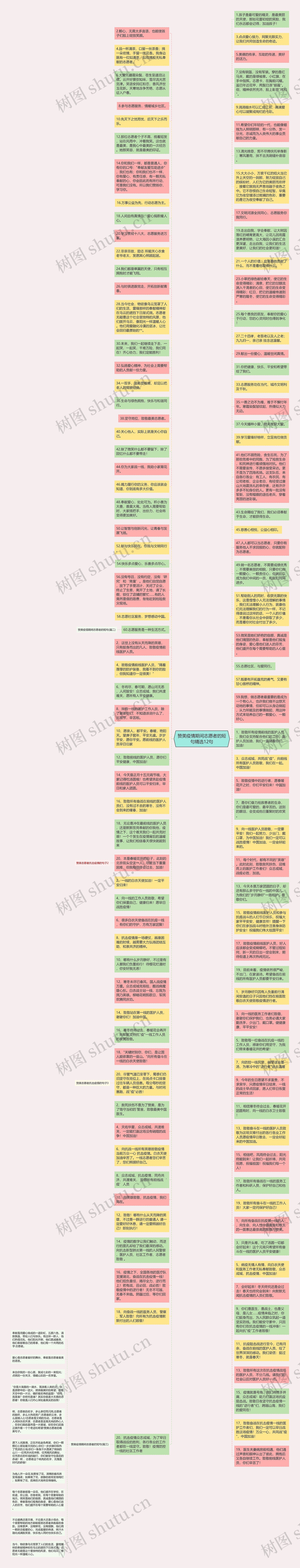 赞美疫情期间志愿者的短句精选12句思维导图