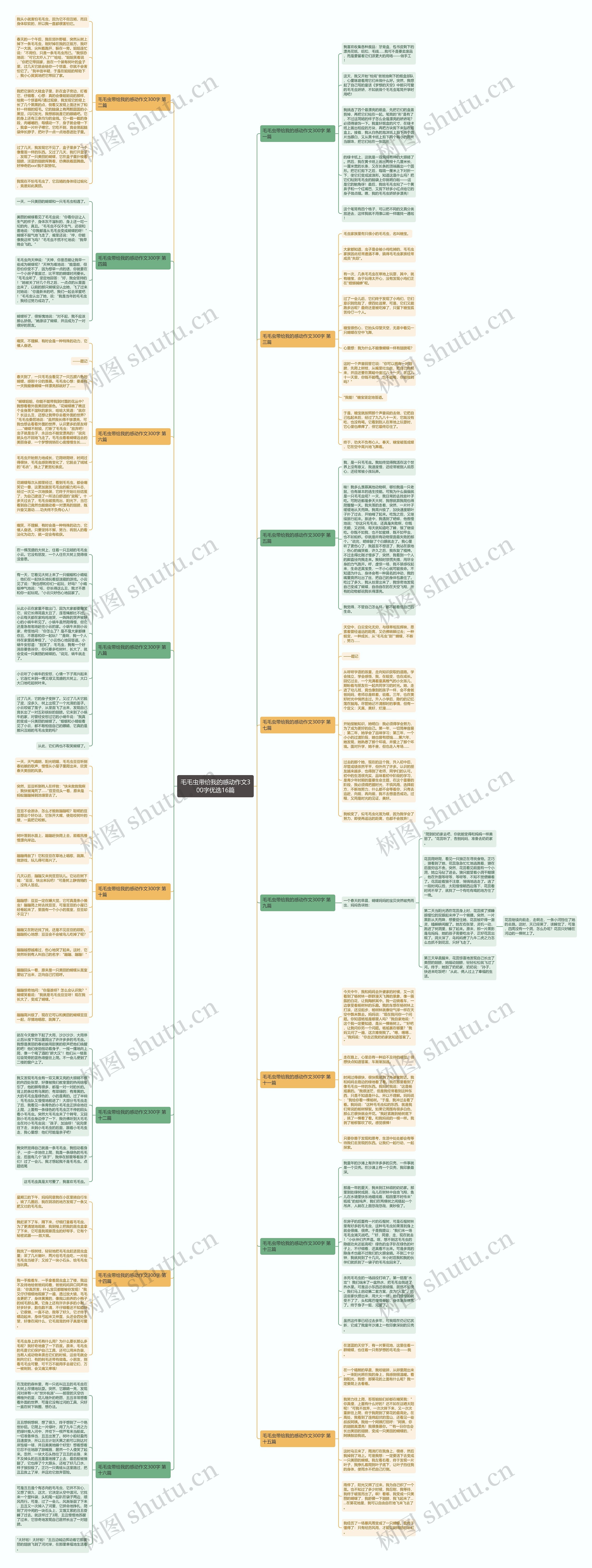 毛毛虫带给我的感动作文300字优选16篇思维导图