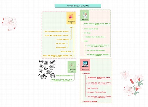 知识纲要-初中生物-生命的演化 知识纲要-初中生物-生命的演化