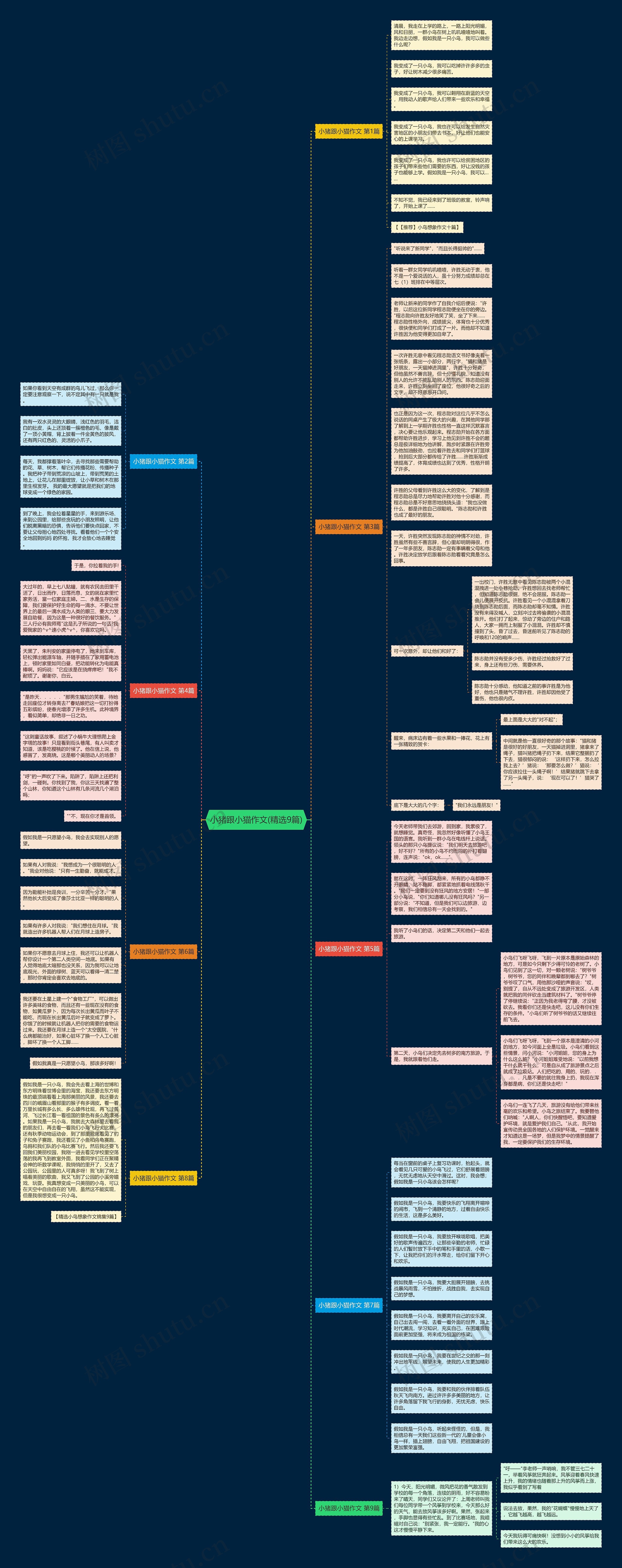 小猪跟小猫作文(精选9篇)思维导图