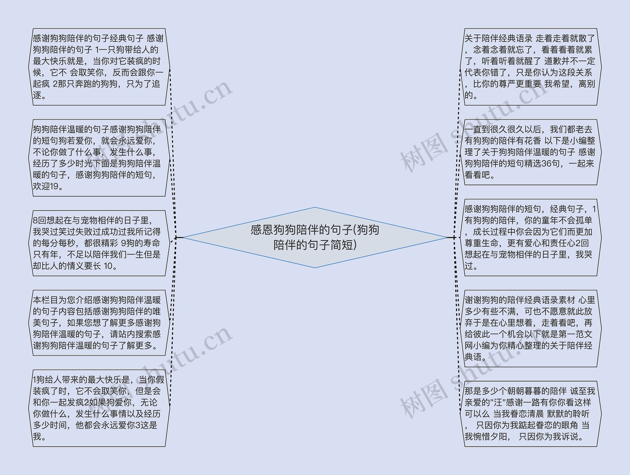 感恩狗狗陪伴的句子(狗狗陪伴的句子简短)