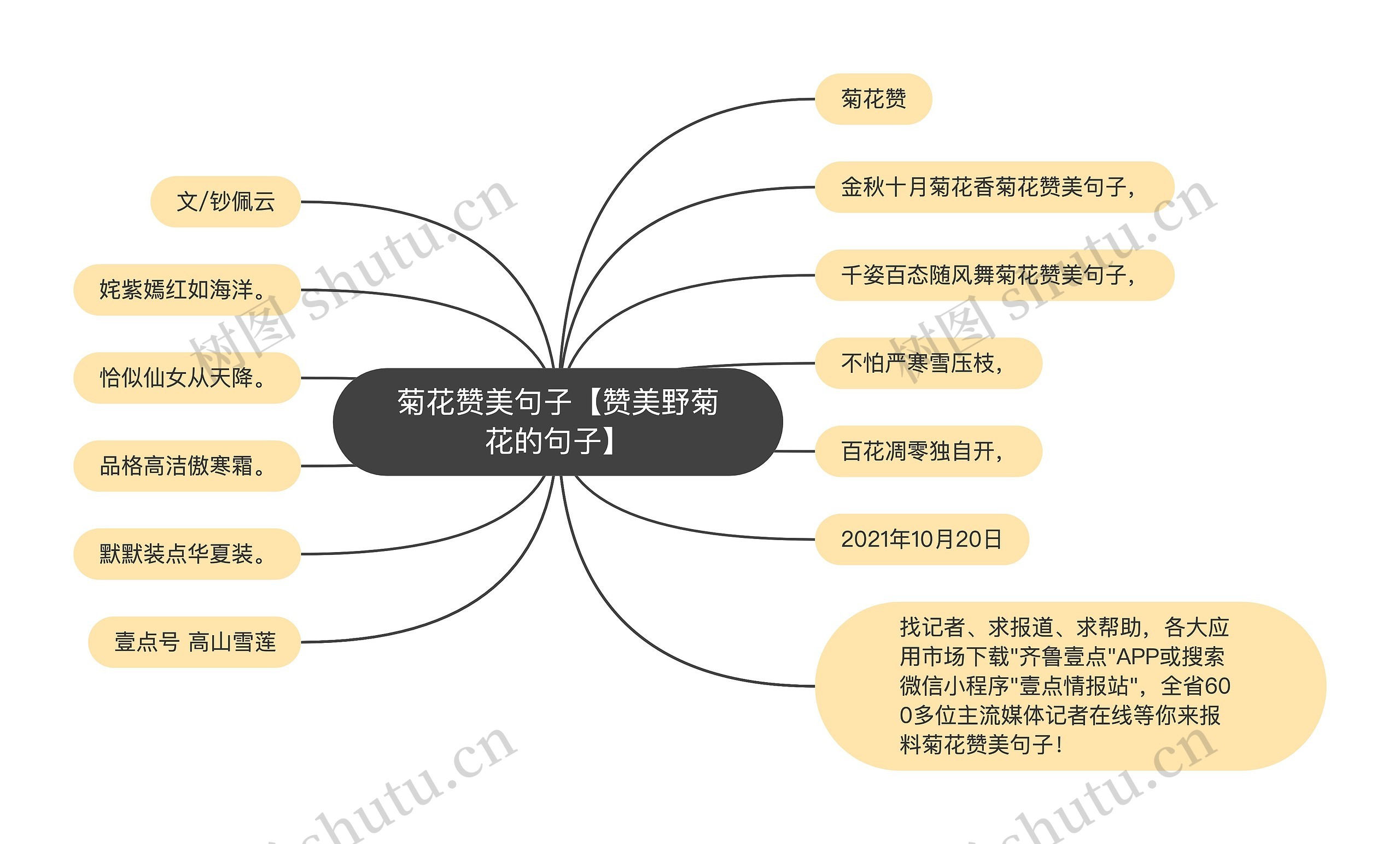 菊花赞美句子【赞美野菊花的句子】思维导图