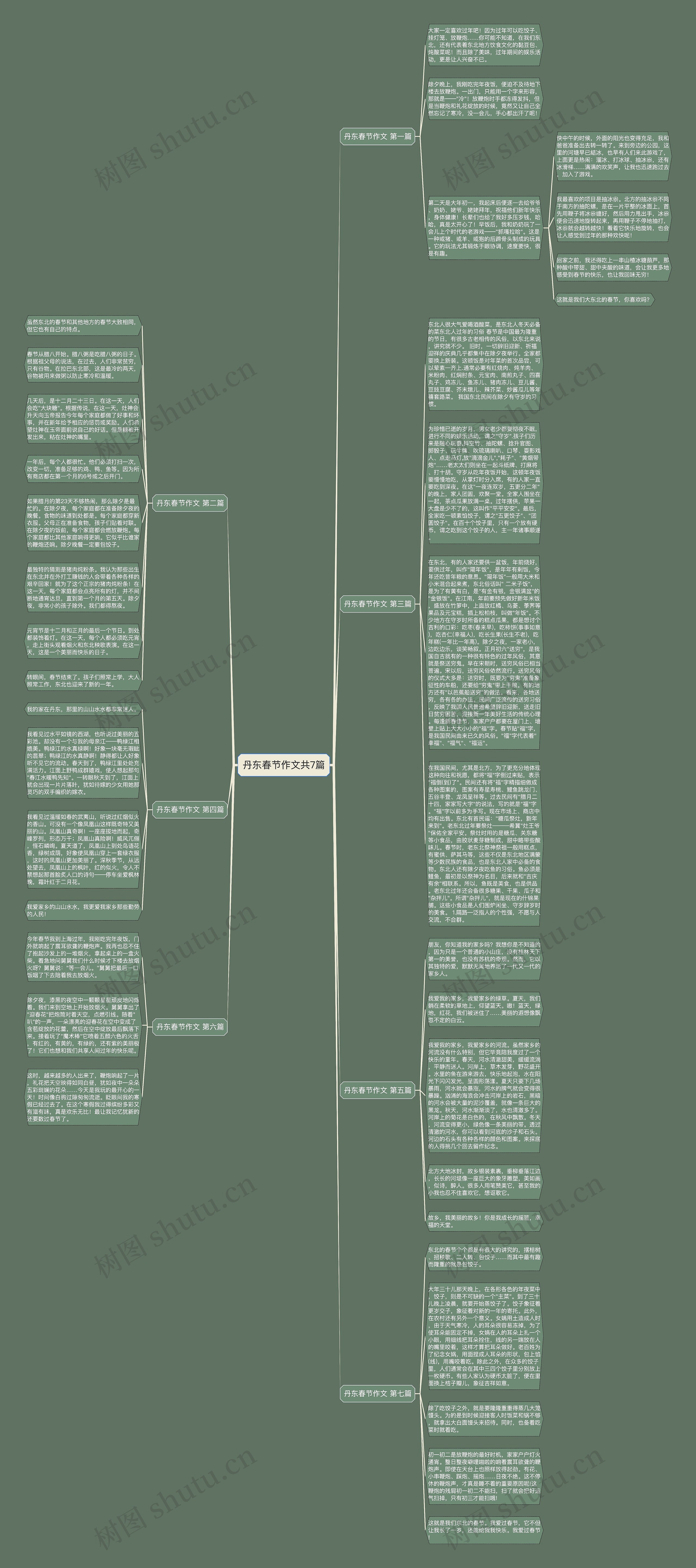 丹东春节作文共7篇思维导图