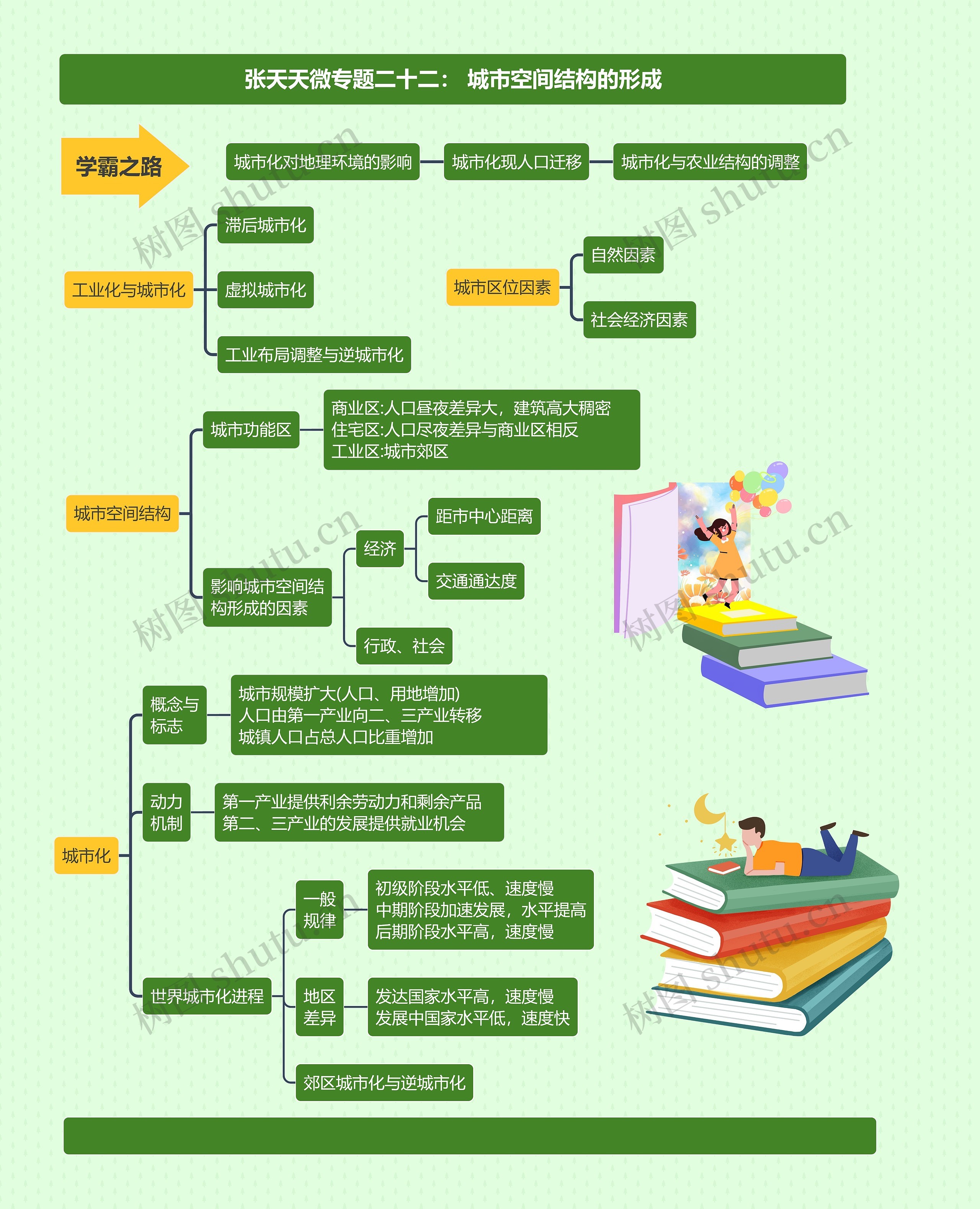 张天天微专题二十二： 城市空间结构的形成