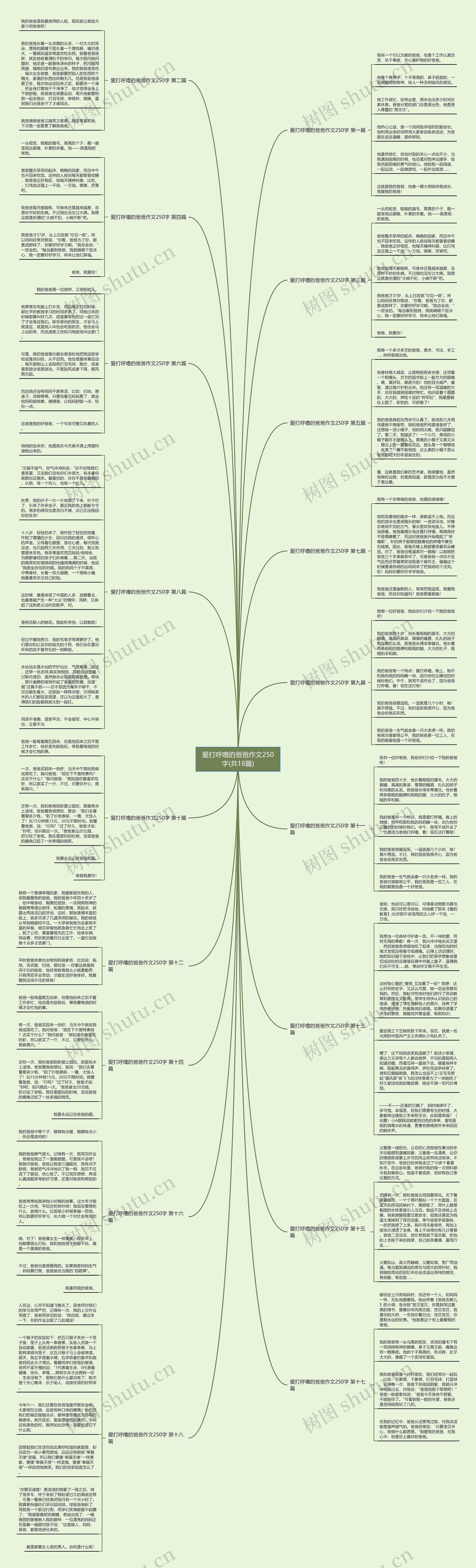 爱打呼噜的爸爸作文250字(共18篇)思维导图