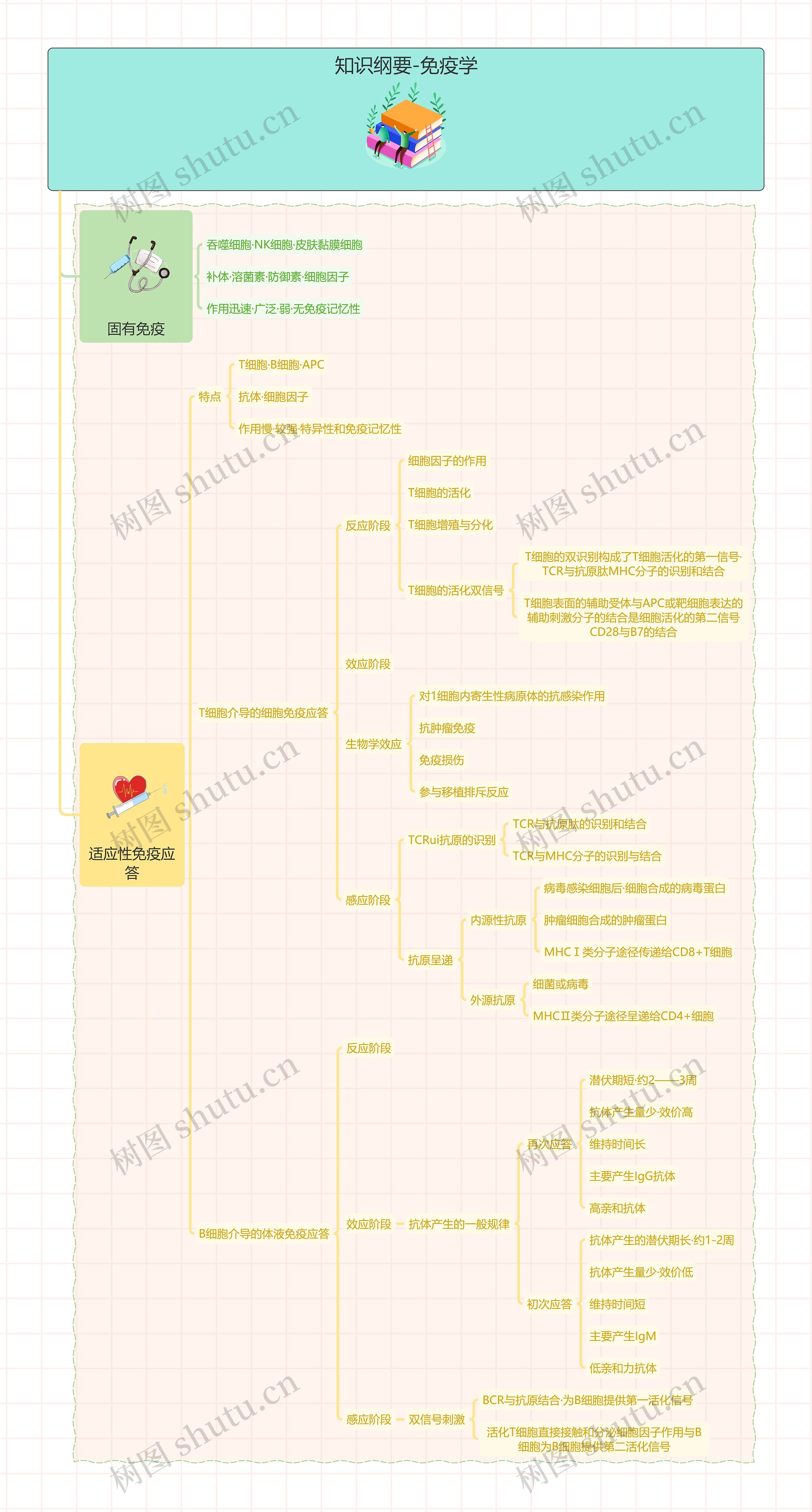 知识纲要-免疫学思维导图