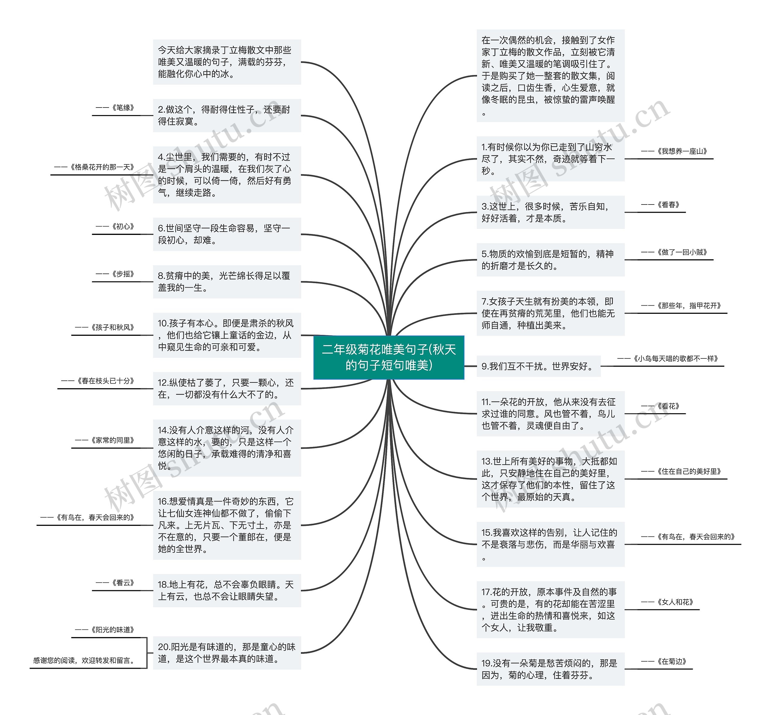 二年级菊花唯美句子(秋天的句子短句唯美)思维导图