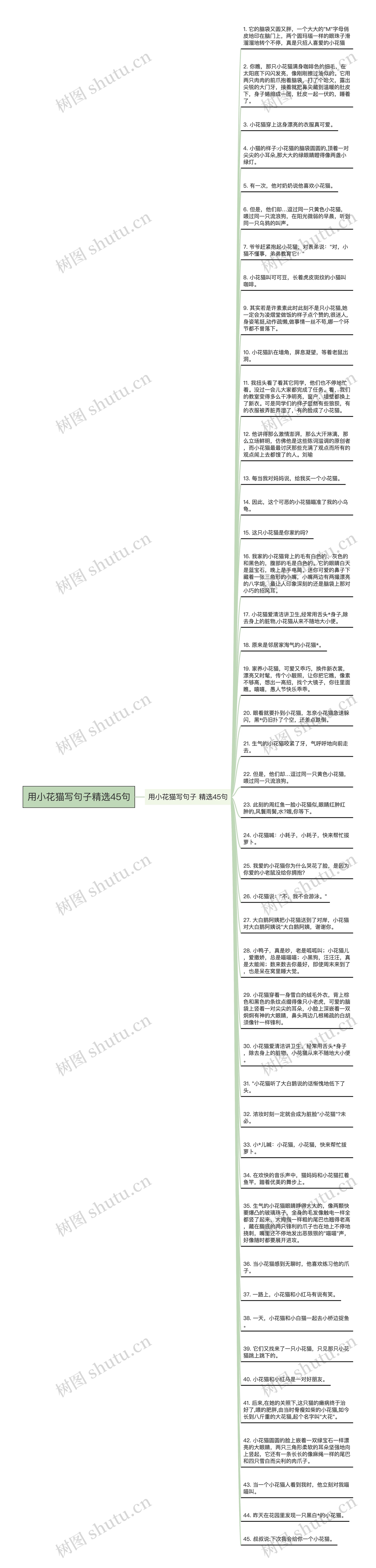 用小花猫写句子精选45句