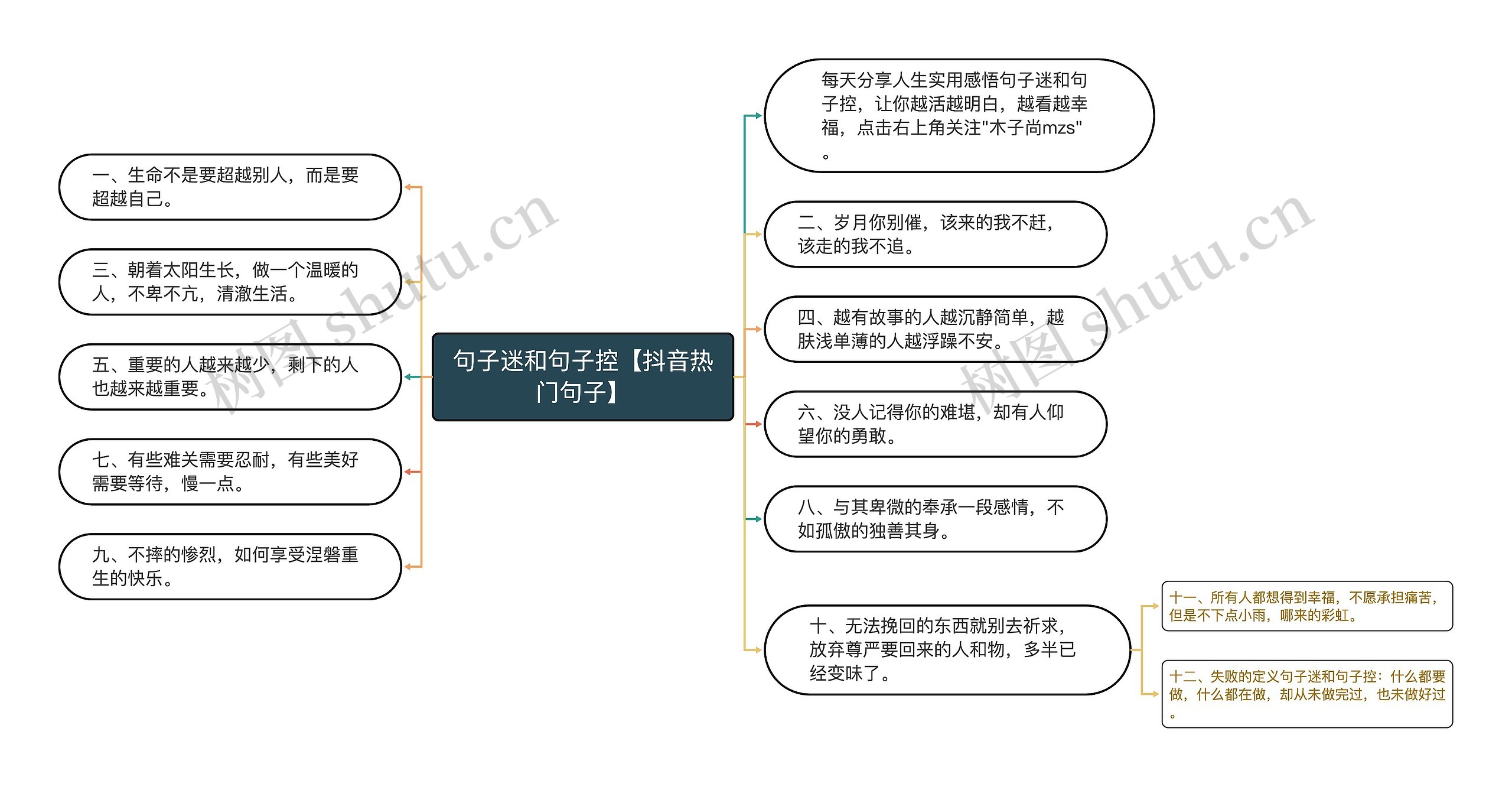 句子迷和句子控【抖音热门句子】