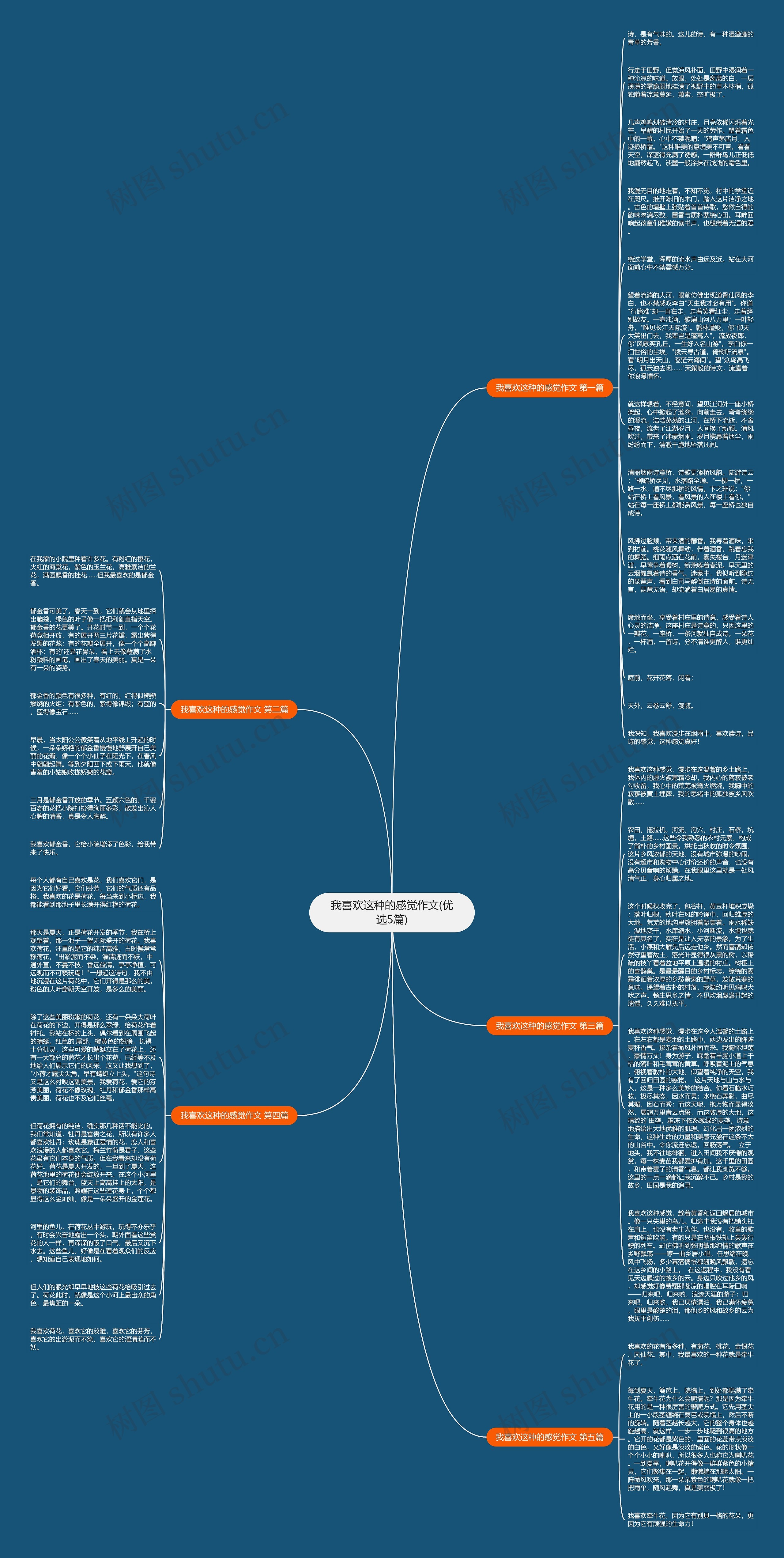 我喜欢这种的感觉作文(优选5篇)思维导图