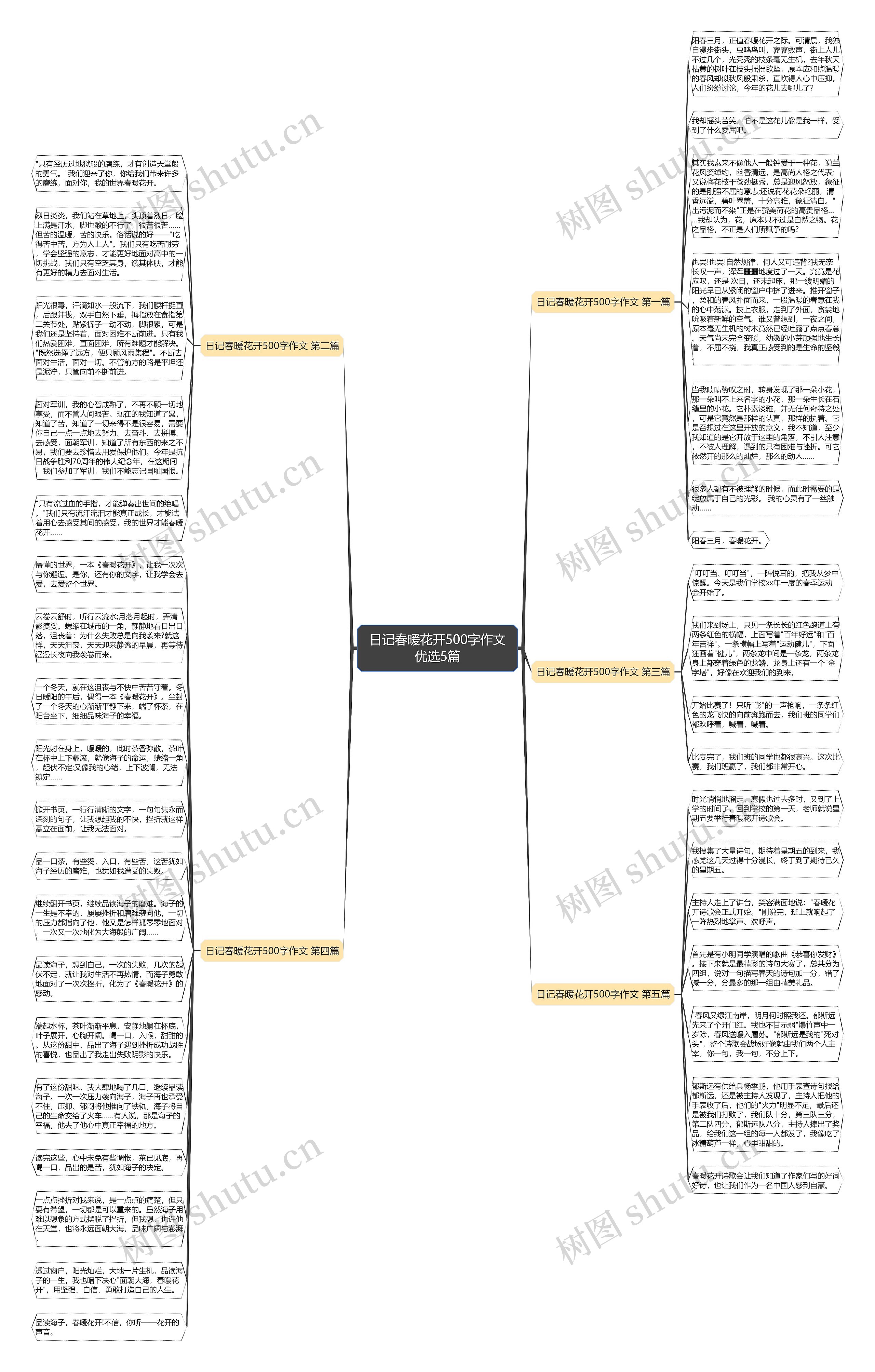 日记春暖花开500字作文优选5篇思维导图