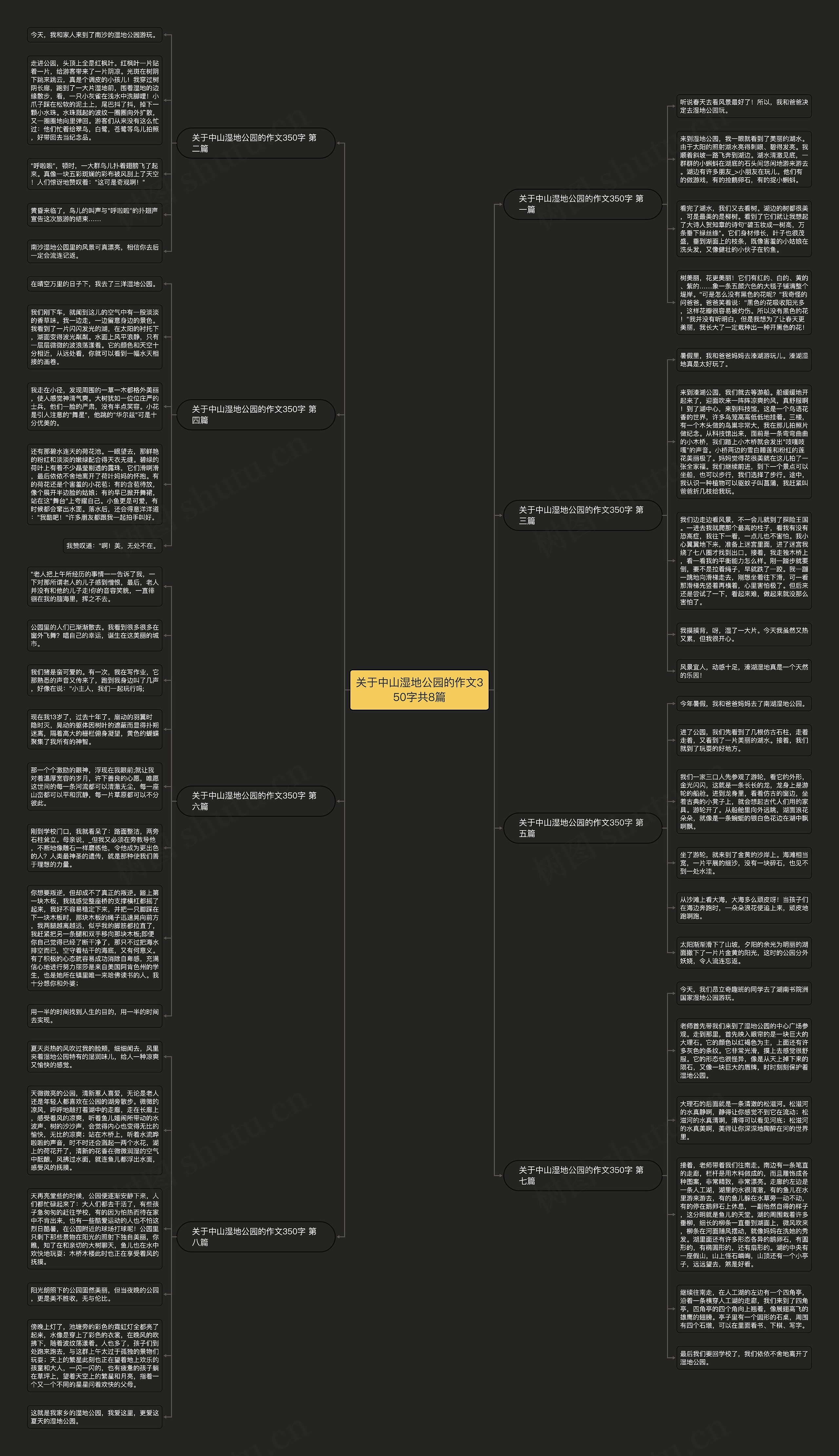 关于中山湿地公园的作文350字共8篇思维导图