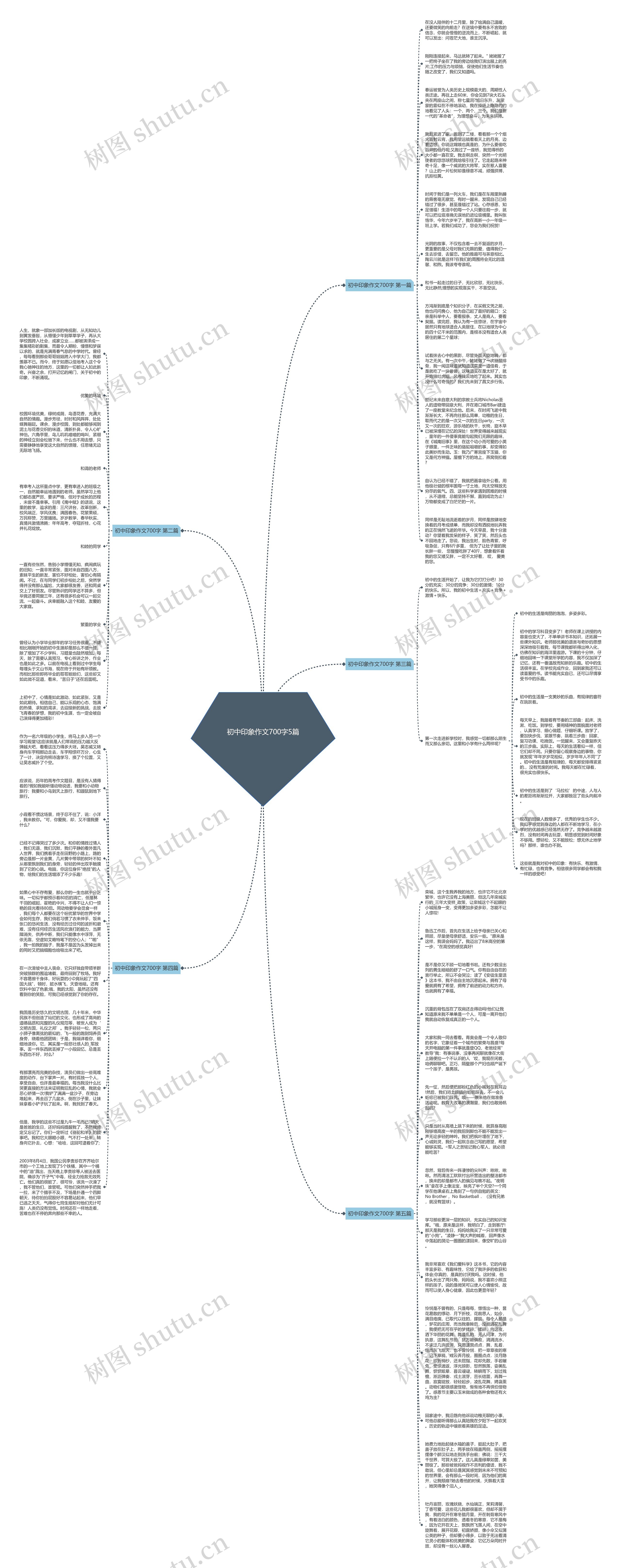 初中印象作文700字5篇思维导图