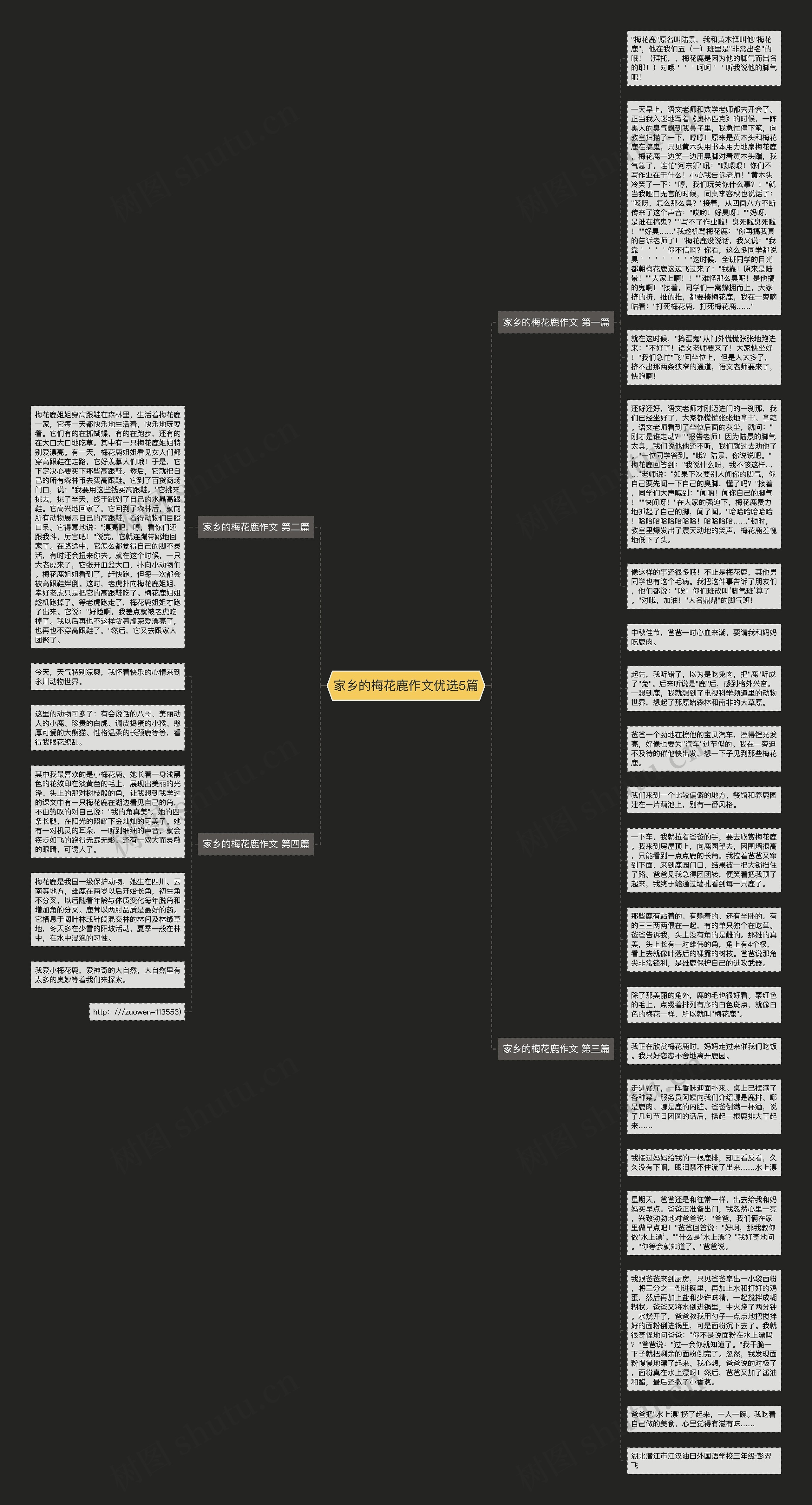 家乡的梅花鹿作文优选5篇思维导图
