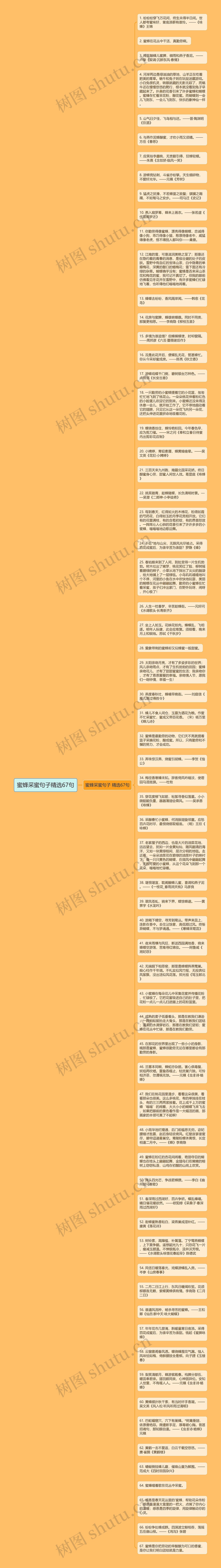 蜜蜂采蜜句子精选67句思维导图