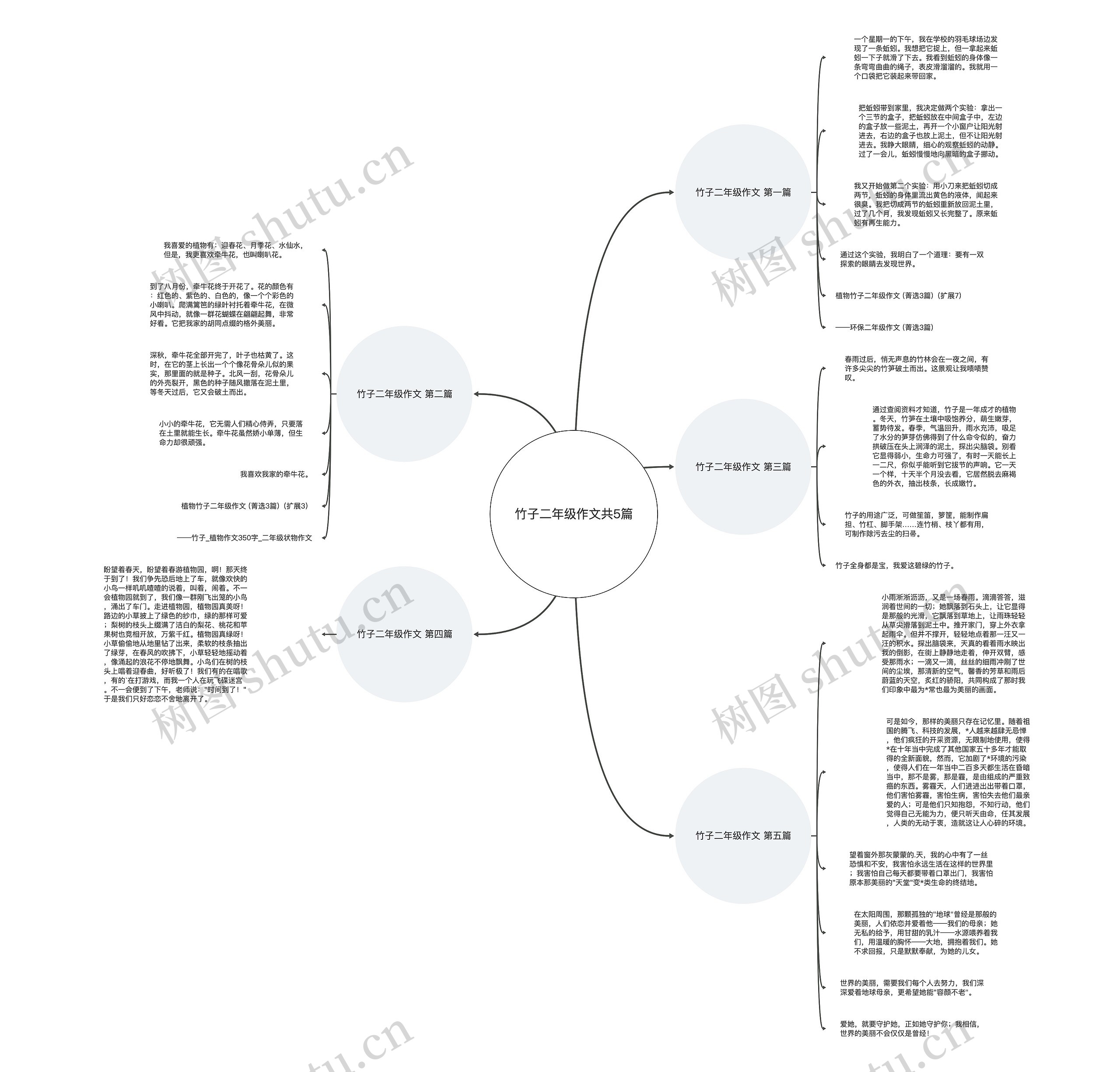 竹子二年级作文共5篇思维导图