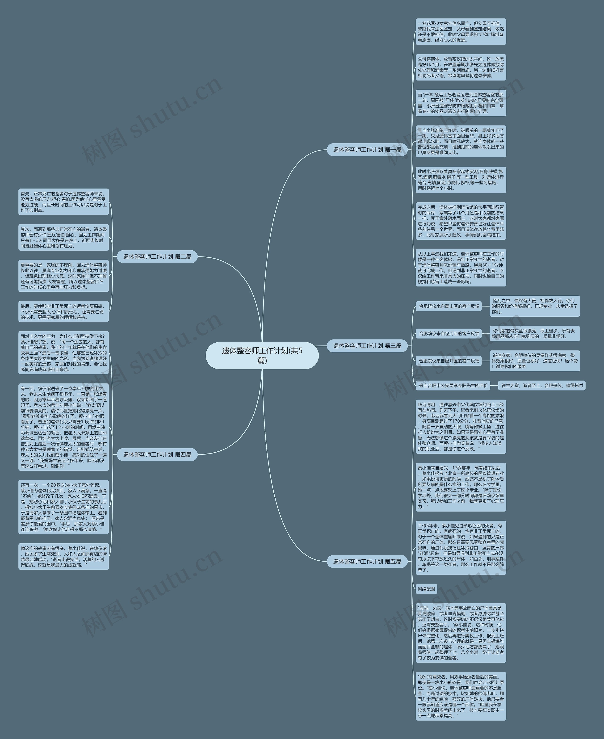 遗体整容师工作计划(共5篇)思维导图