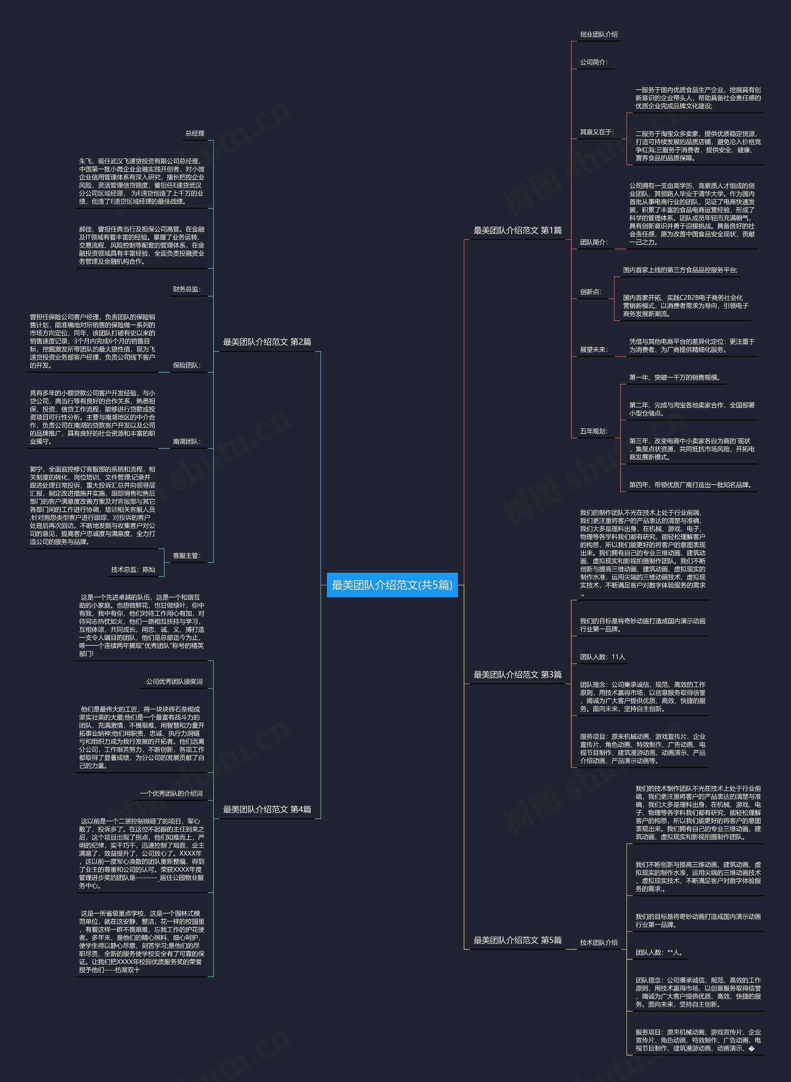 最美团队介绍范文(共5篇)思维导图