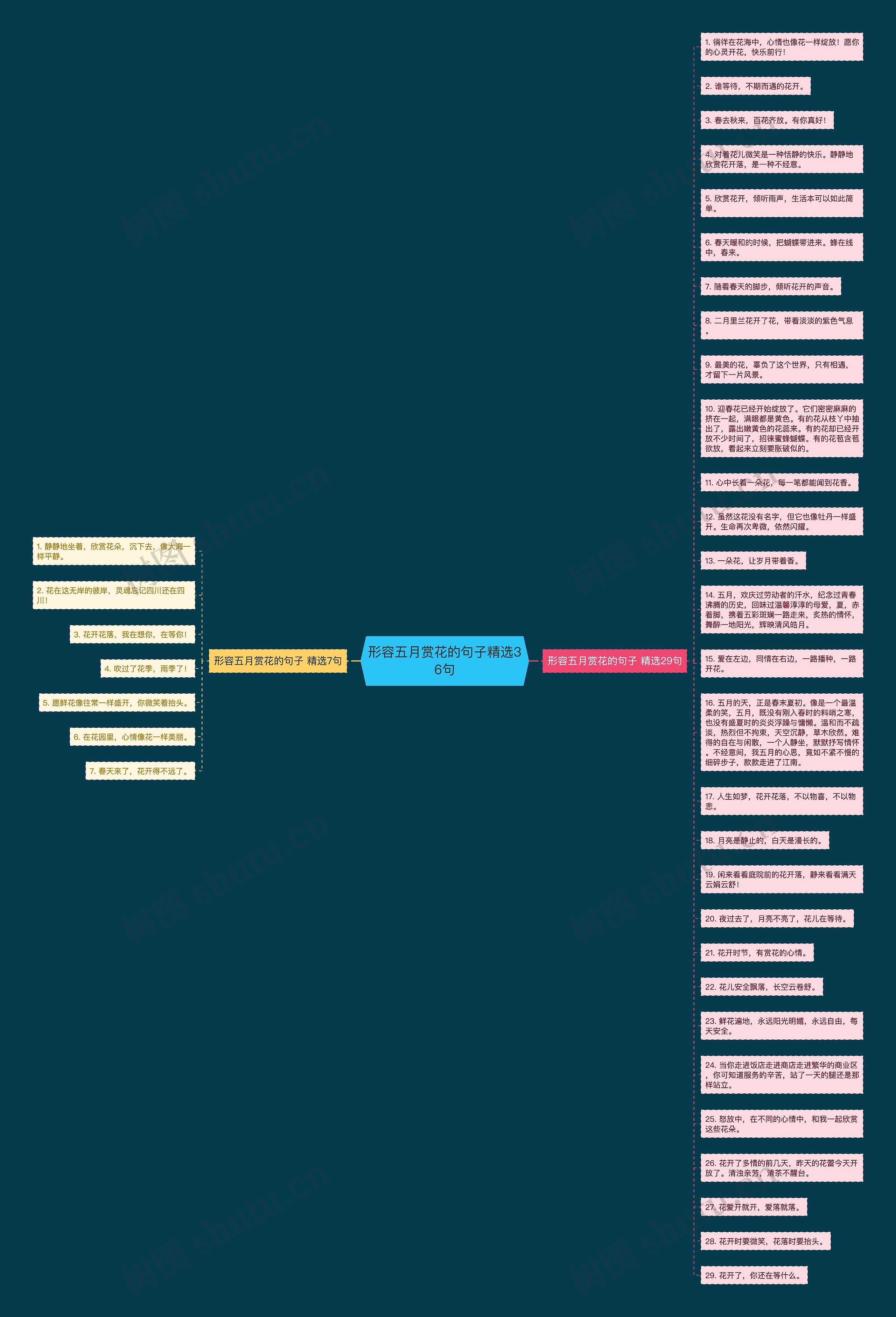 形容五月赏花的句子精选36句思维导图