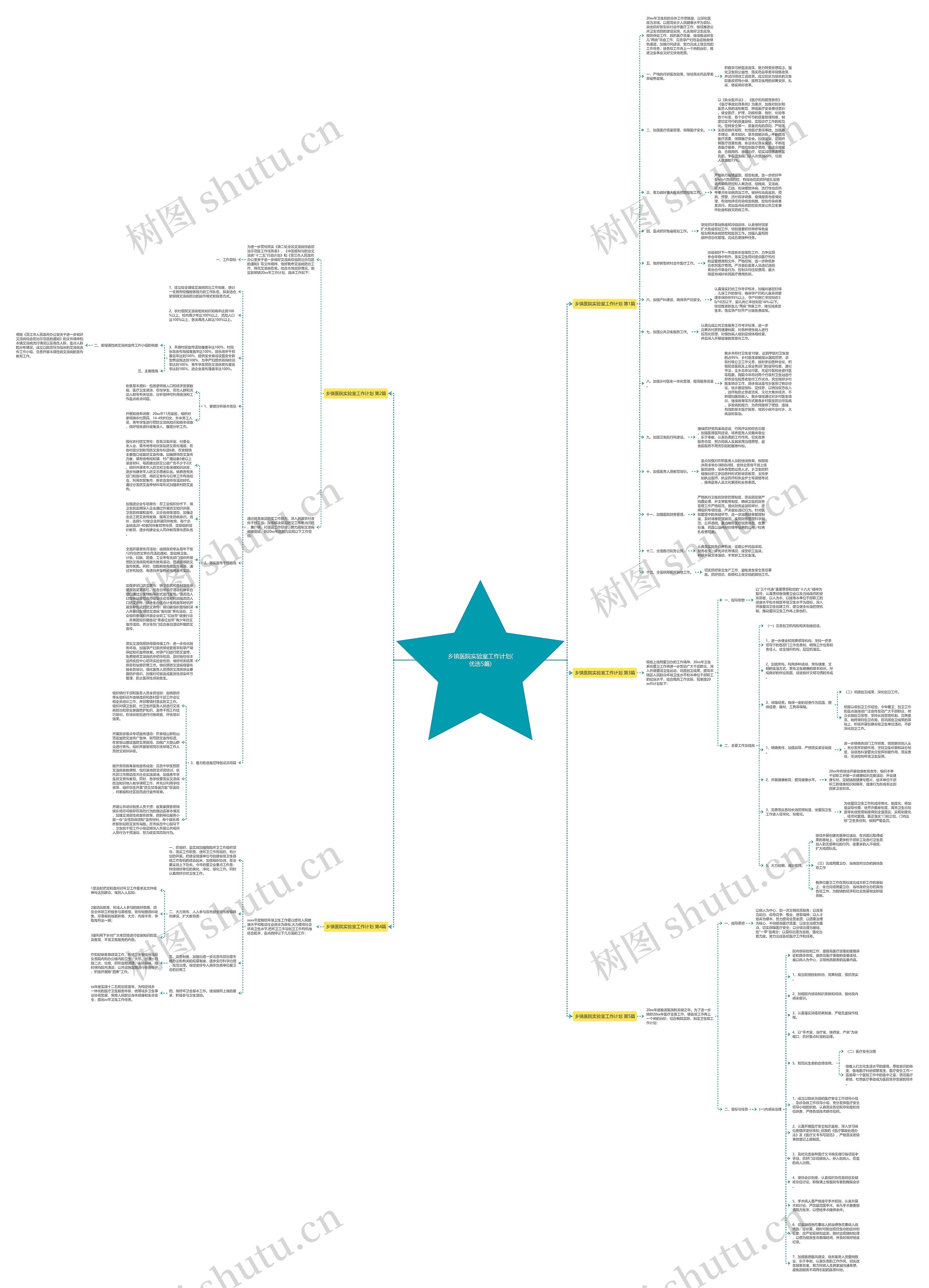 乡镇医院实验室工作计划(优选5篇)思维导图