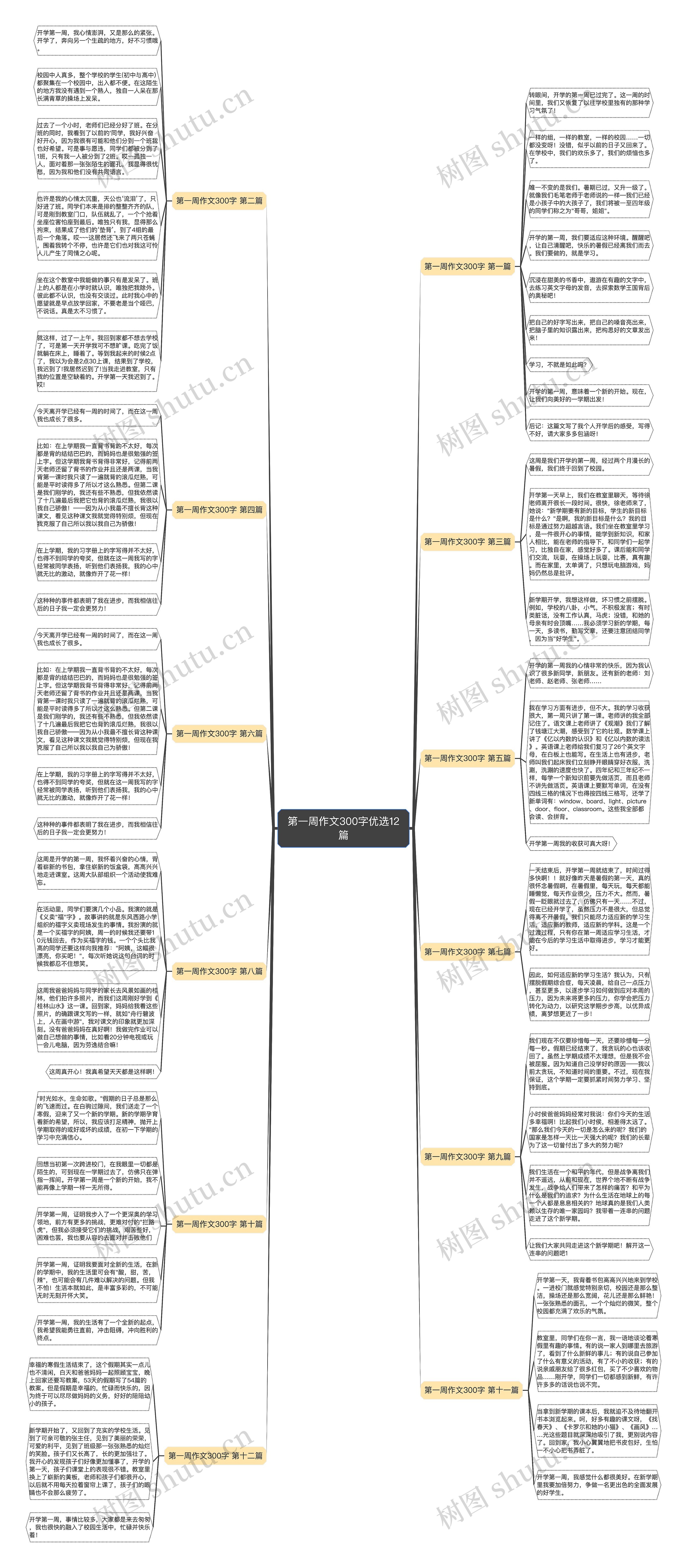 第一周作文300字优选12篇思维导图