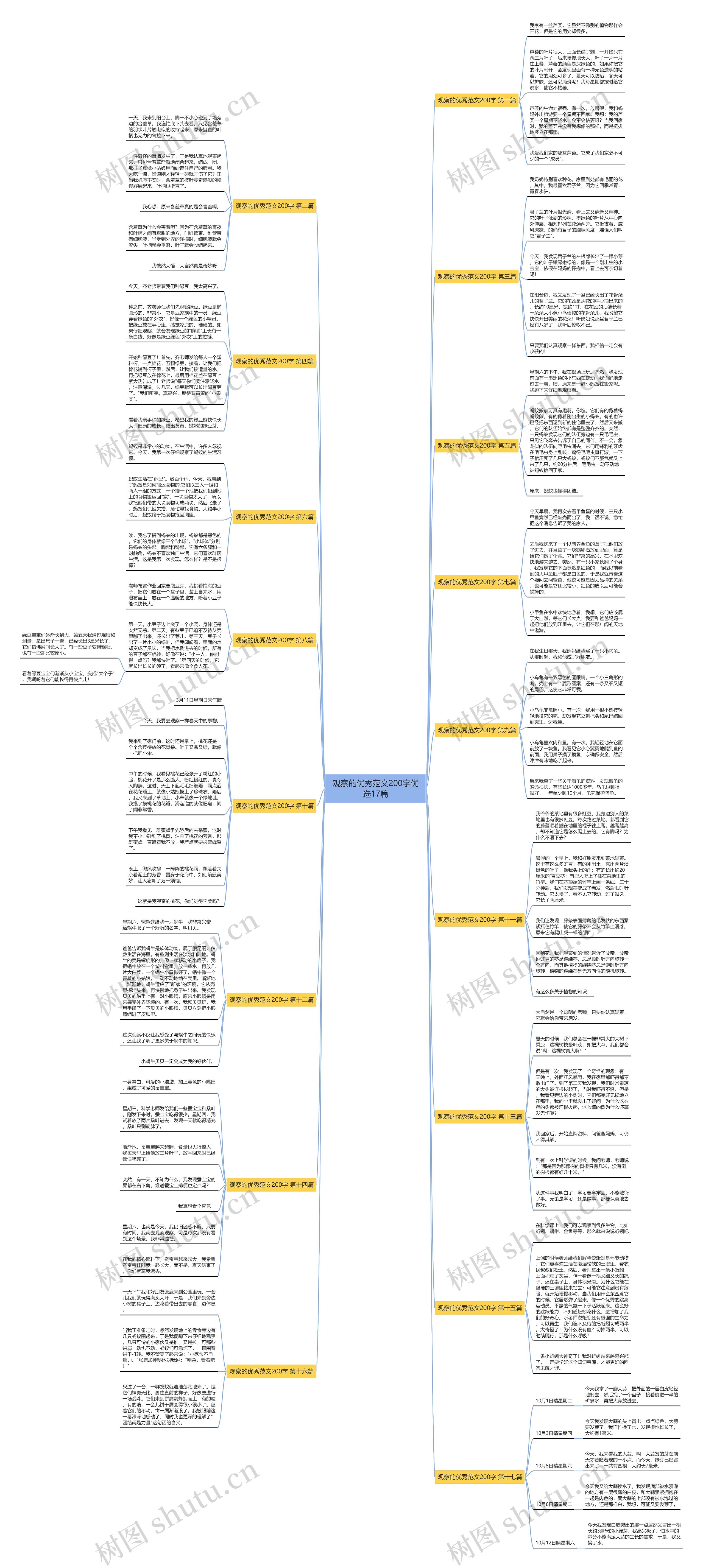观察的优秀范文200字优选17篇 观察的优秀范文200字优选17篇