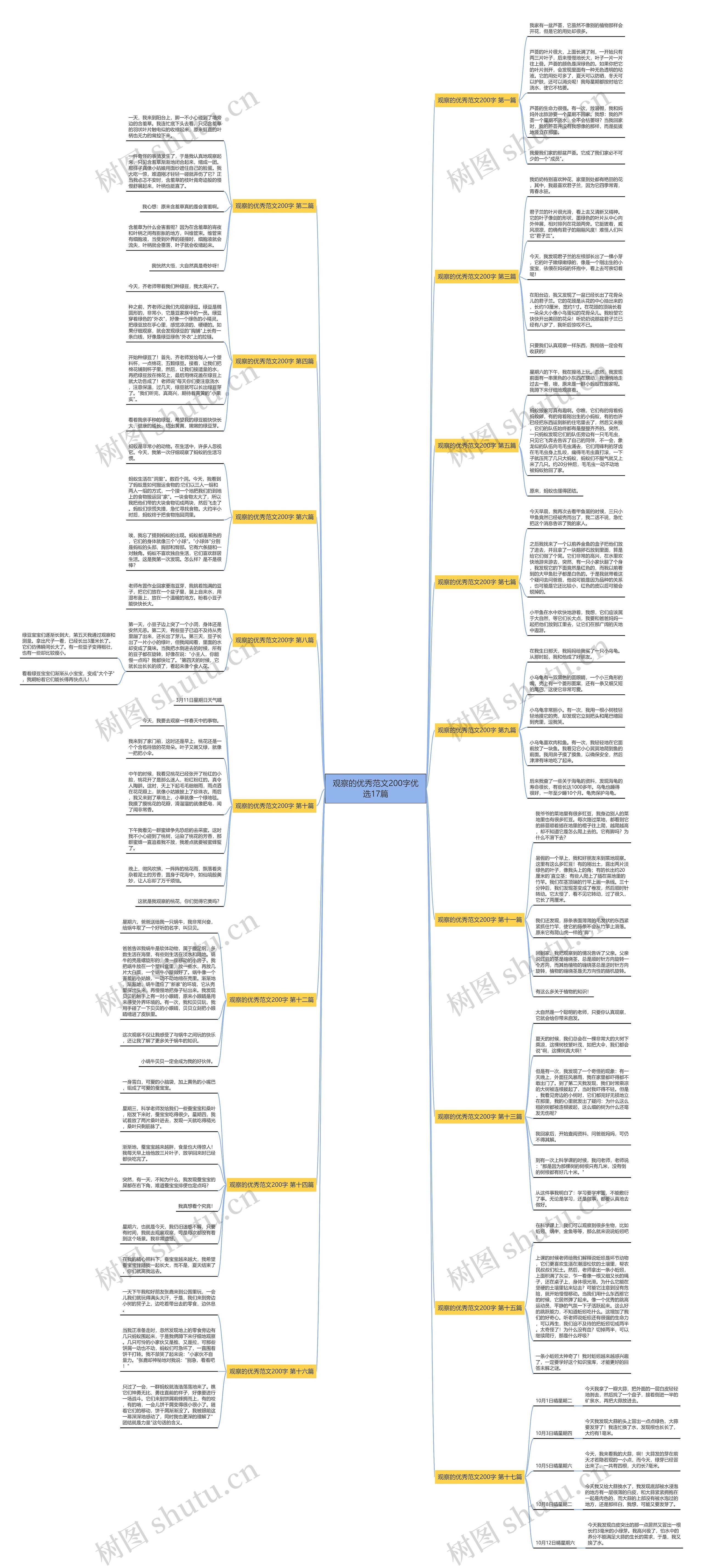 观察的优秀范文200字优选17篇思维导图