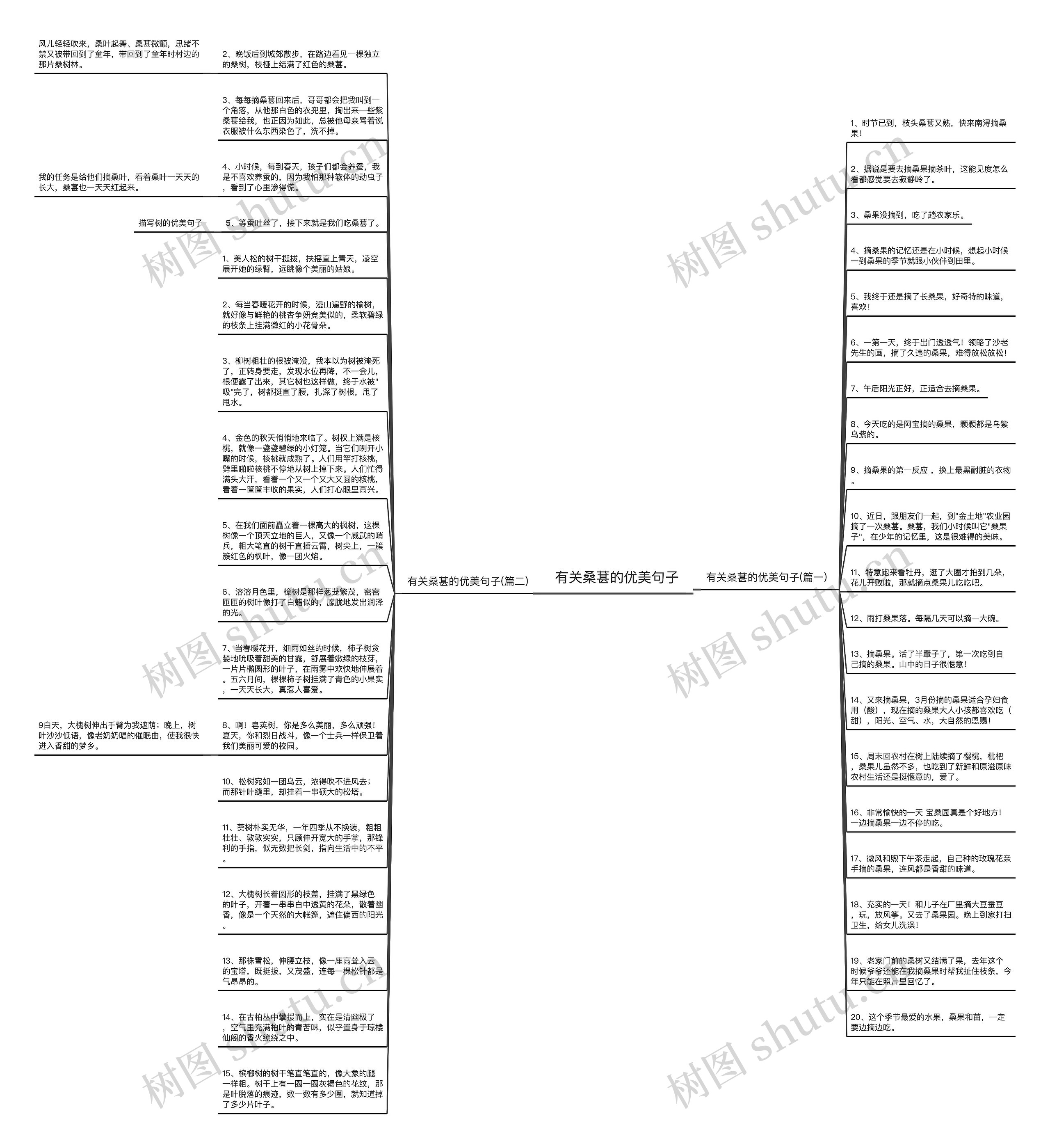 有关桑葚的优美句子思维导图