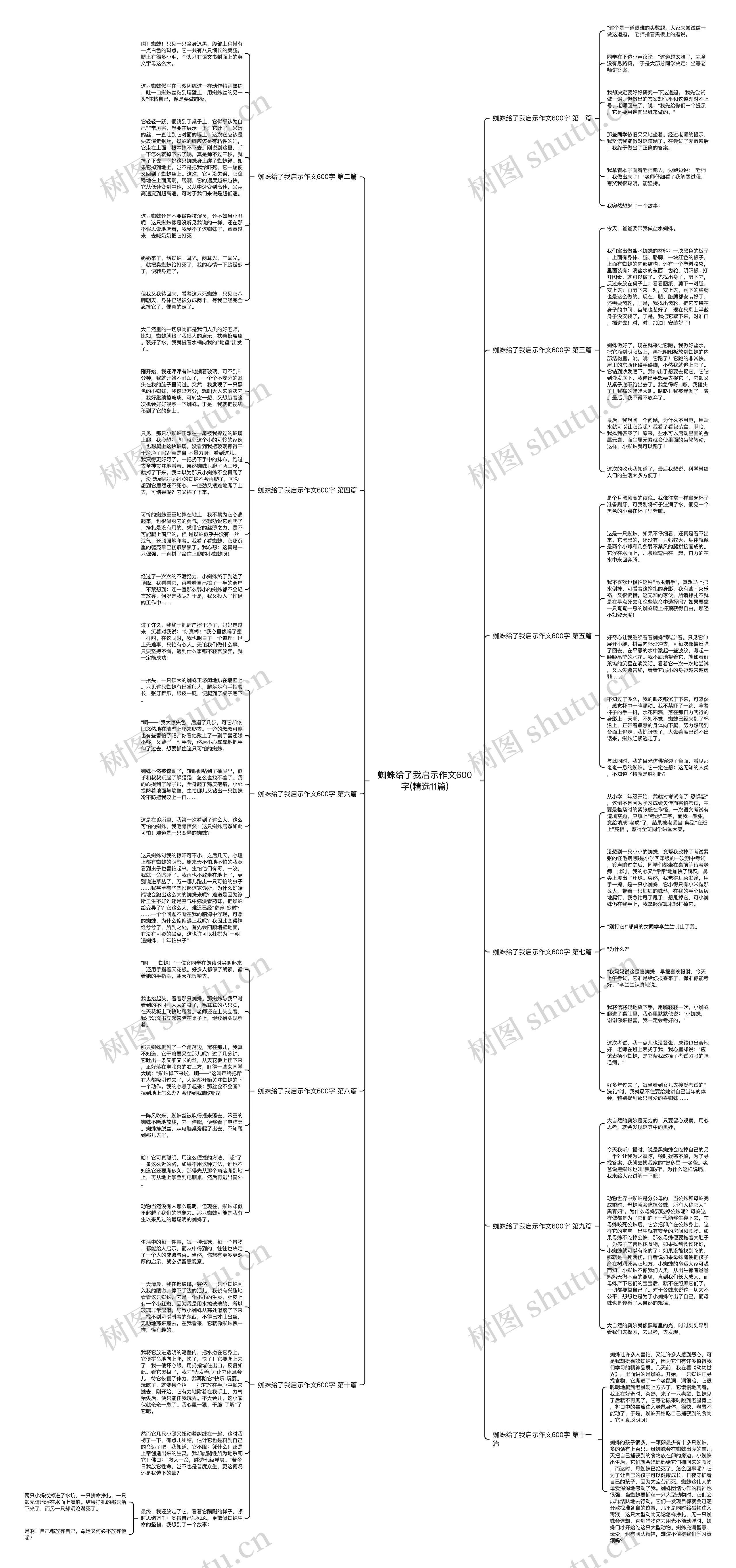 蜘蛛给了我启示作文600字(精选11篇)