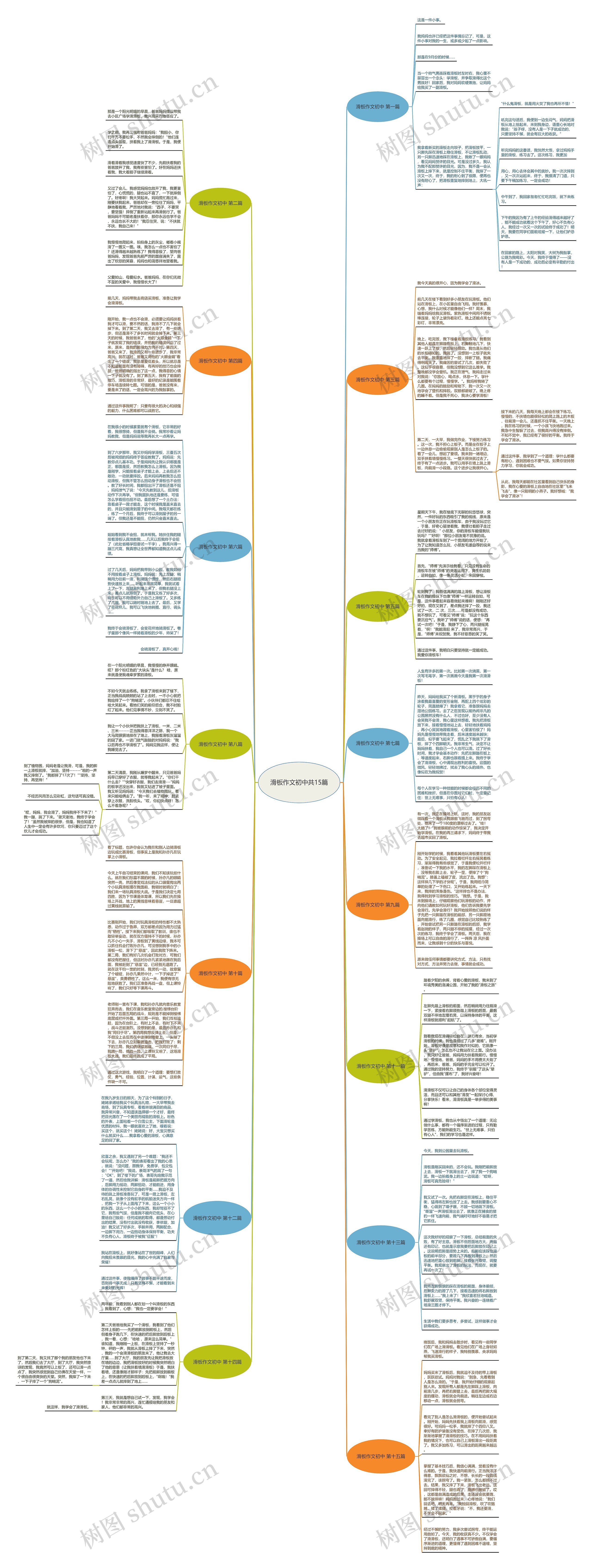 滑板作文初中共15篇思维导图