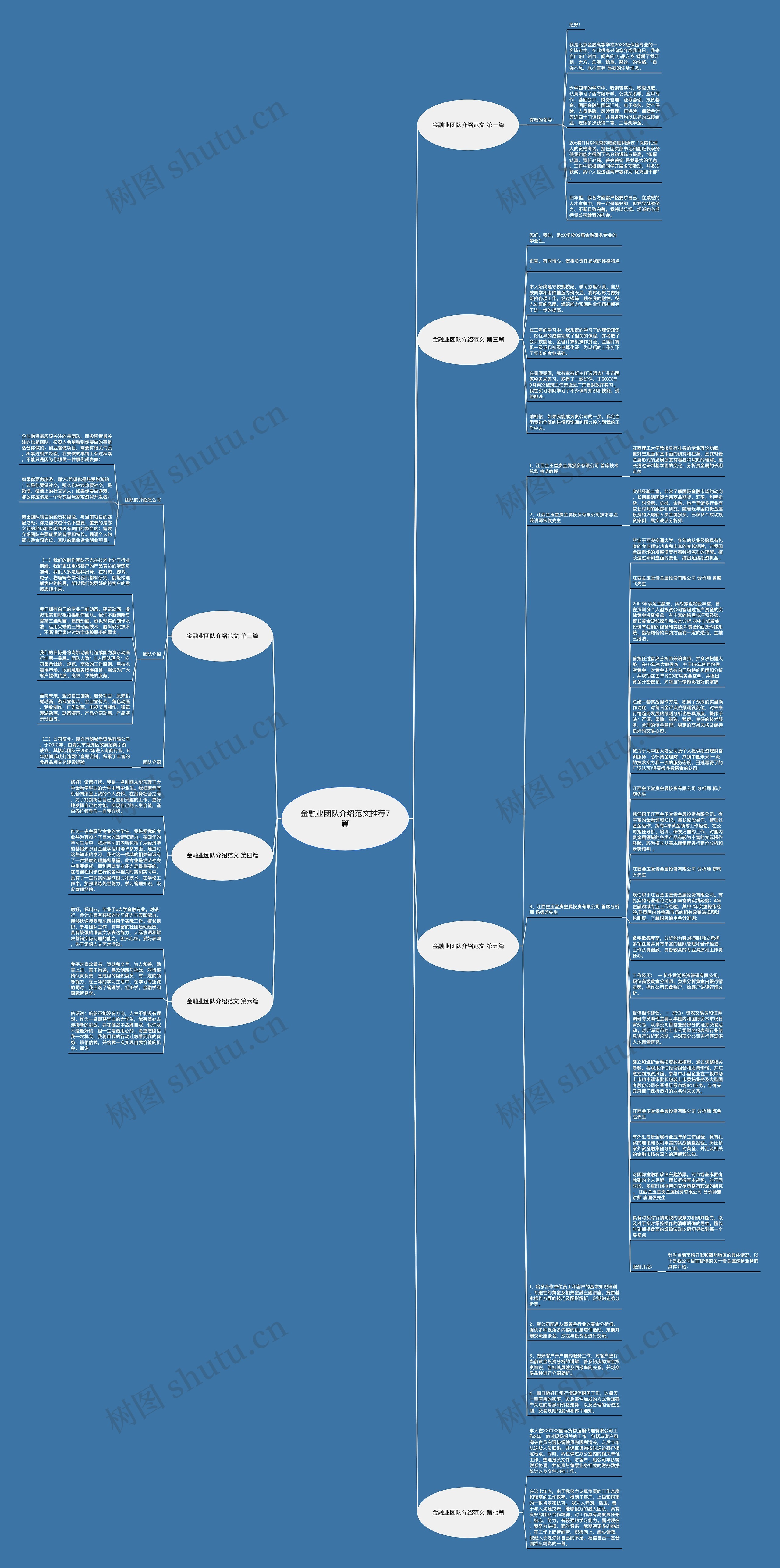 金融业团队介绍范文推荐7篇思维导图