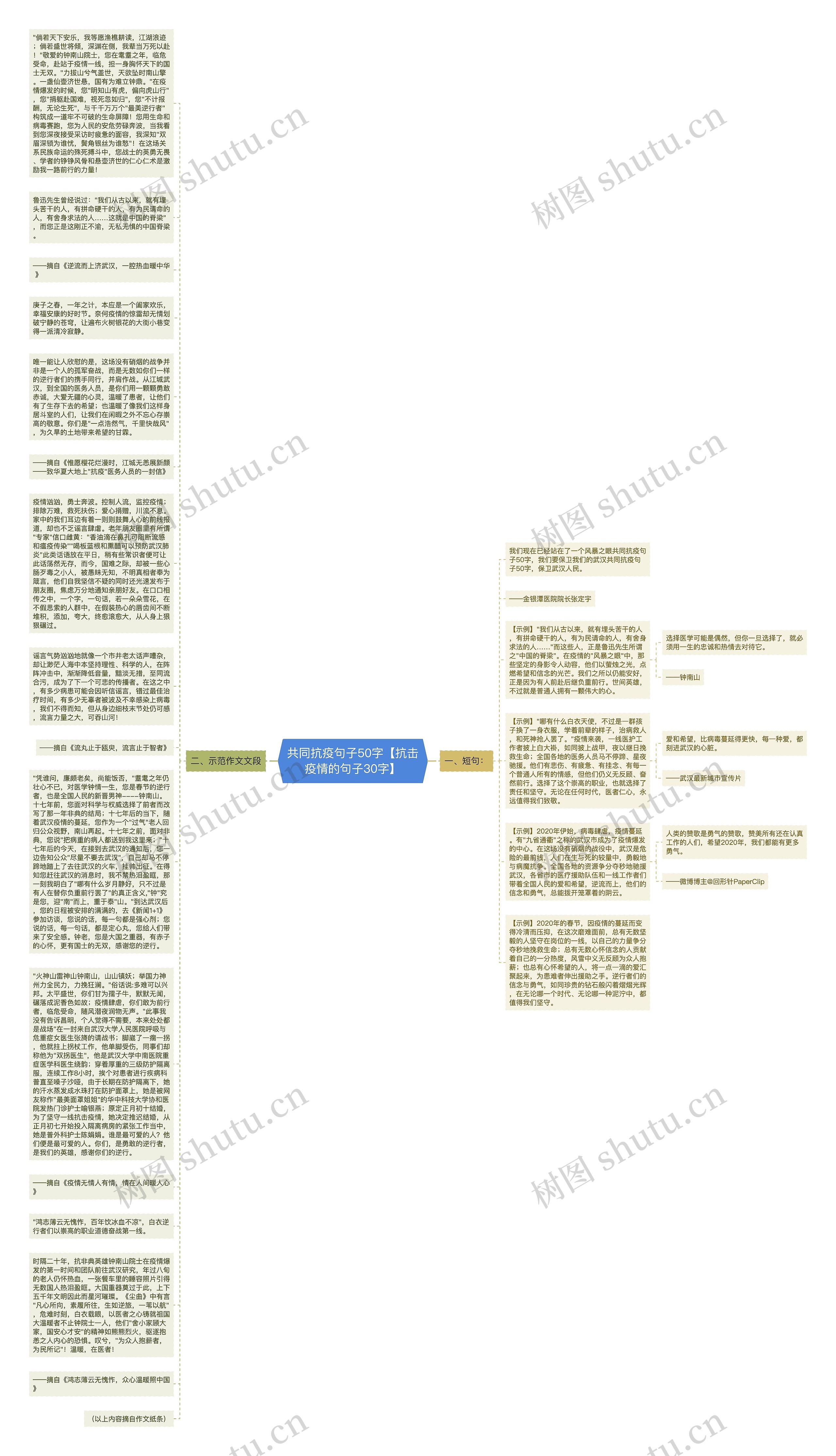共同抗疫句子50字【抗击疫情的句子30字】思维导图