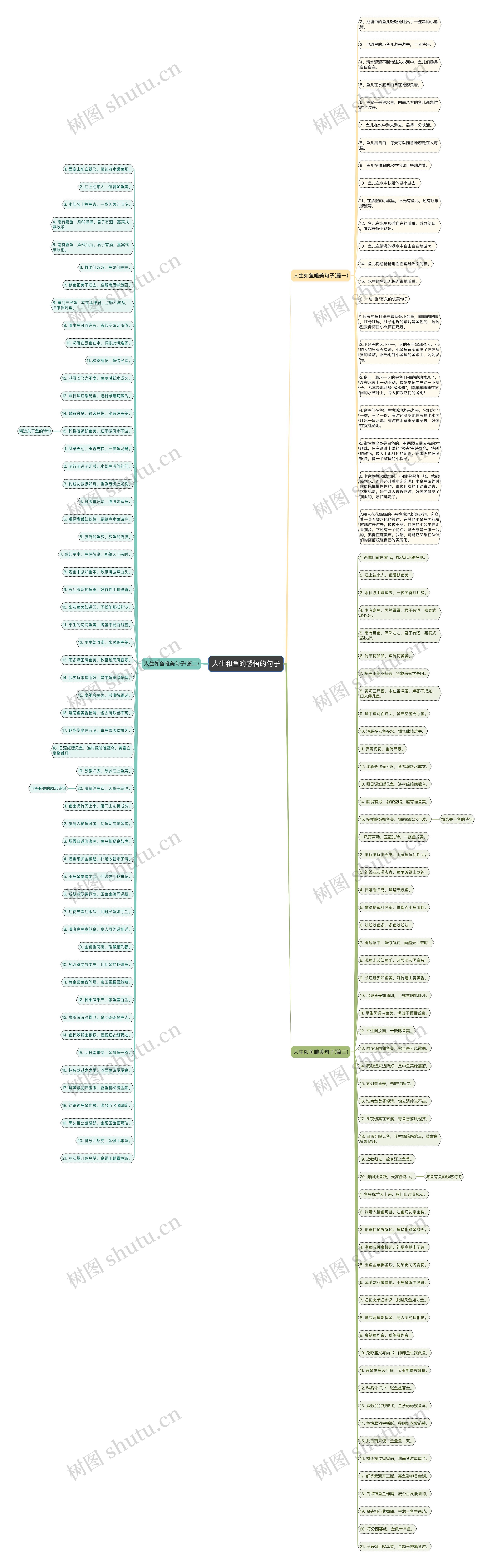 人生和鱼的感悟的句子思维导图