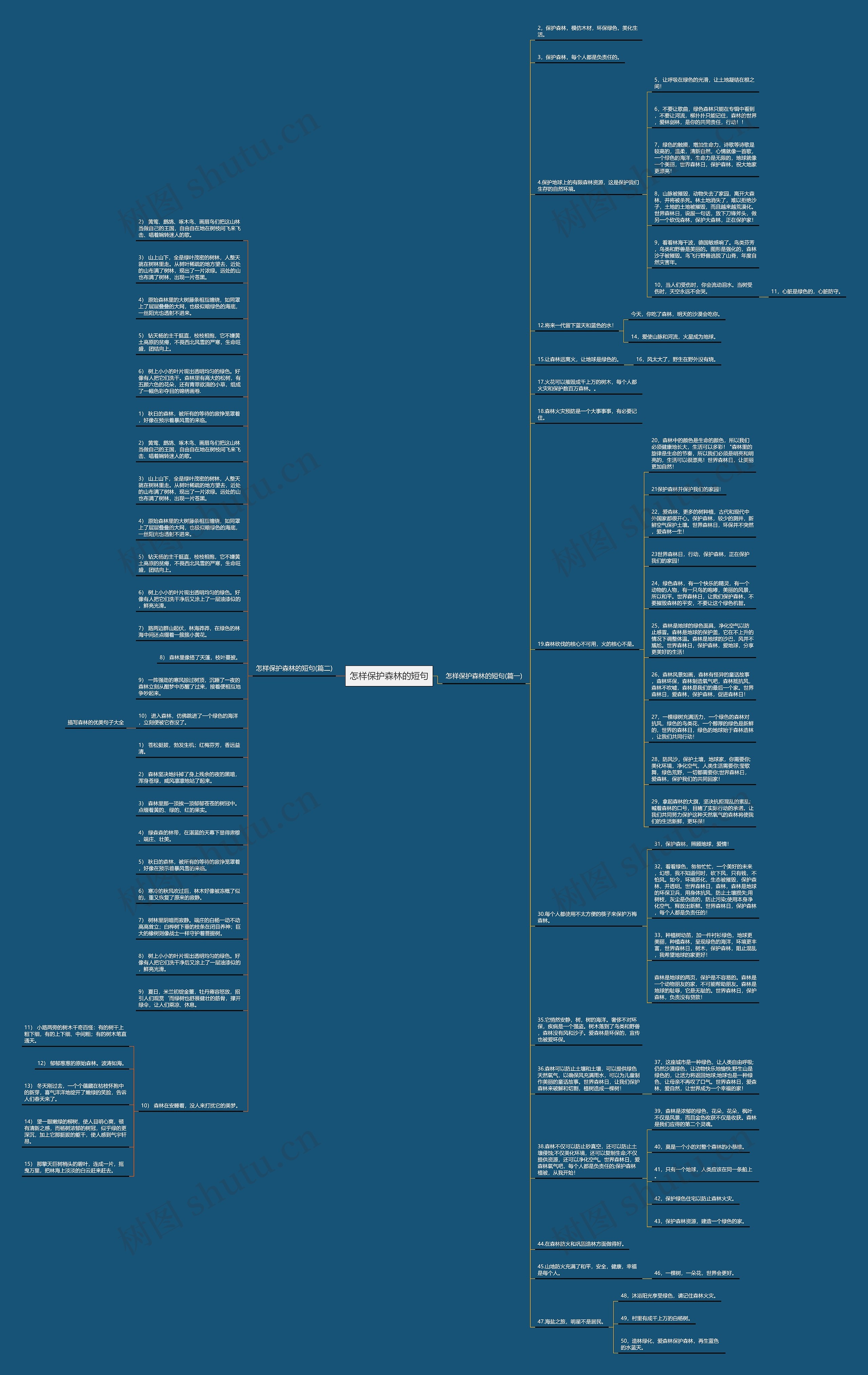 怎样保护森林的短句思维导图