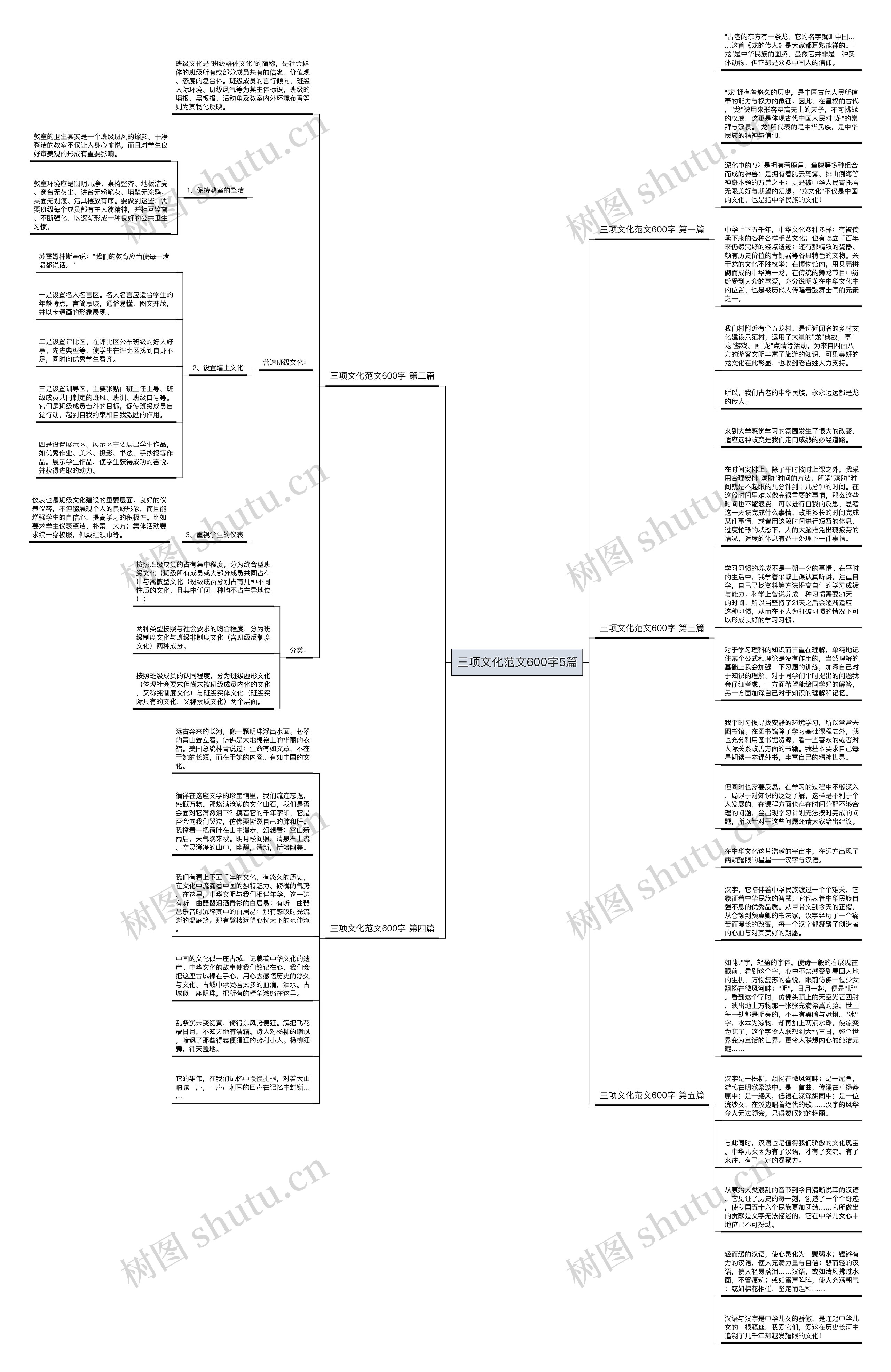 三项文化范文600字5篇思维导图