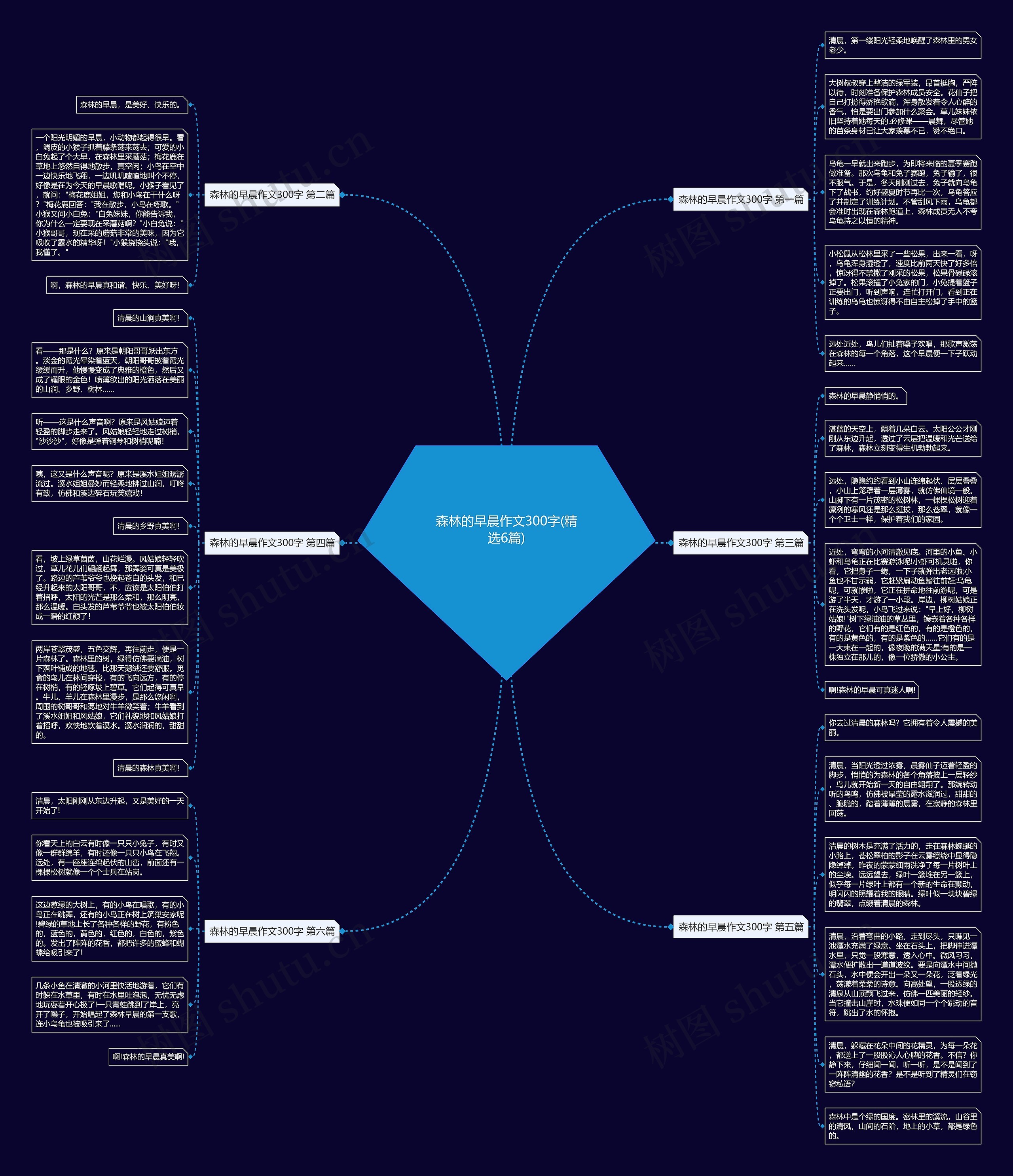 森林的早晨作文300字(精选6篇)思维导图