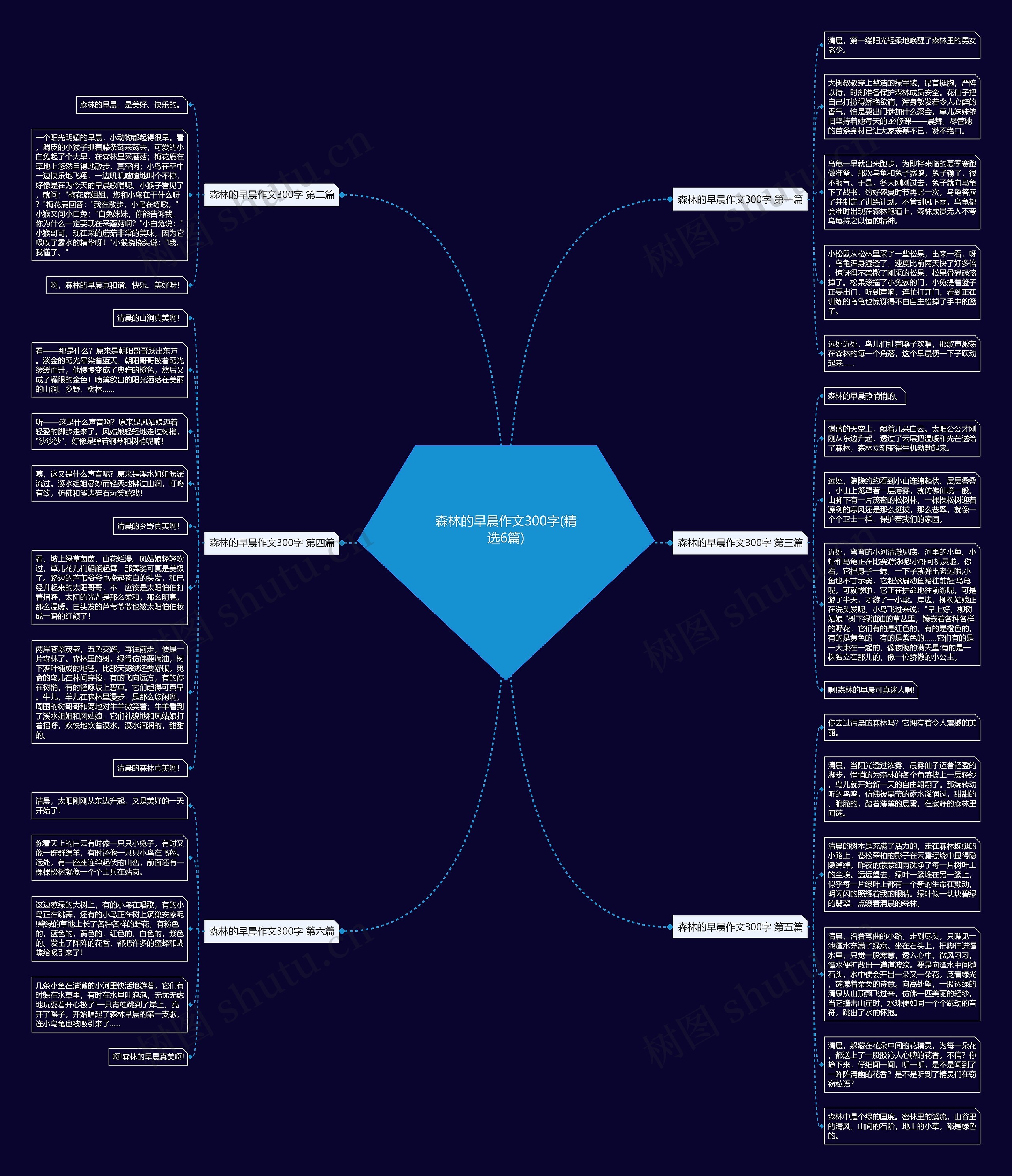 森林的早晨作文300字(精选6篇) 森林的早晨作文300字(精选6篇)