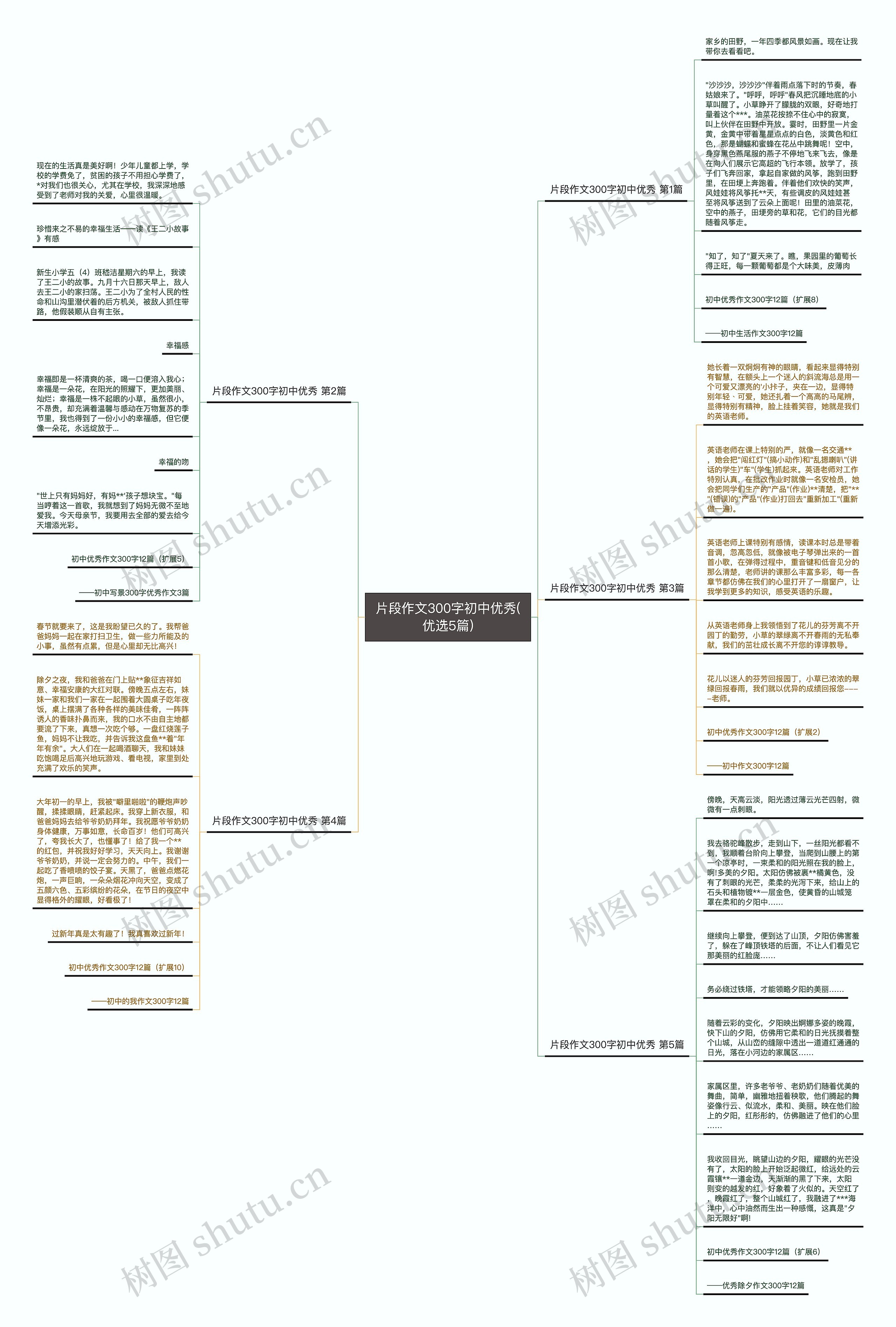 片段作文300字初中优秀(优选5篇)思维导图