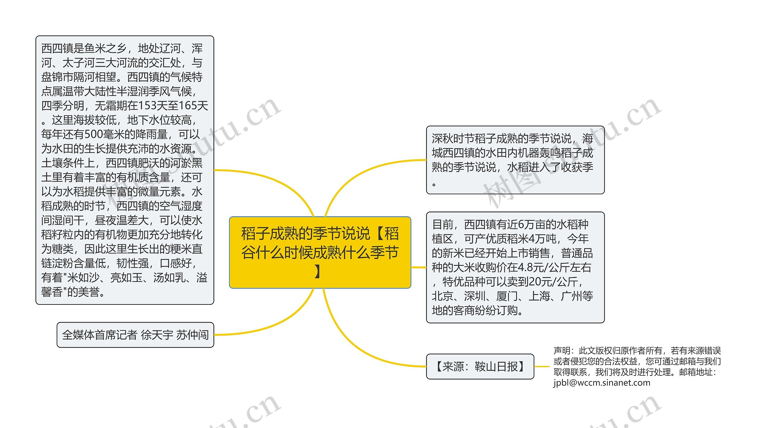 稻子成熟的季节说说【稻谷什么时候成熟什么季节】思维导图