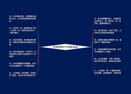 哲理情感句子(情感语录)