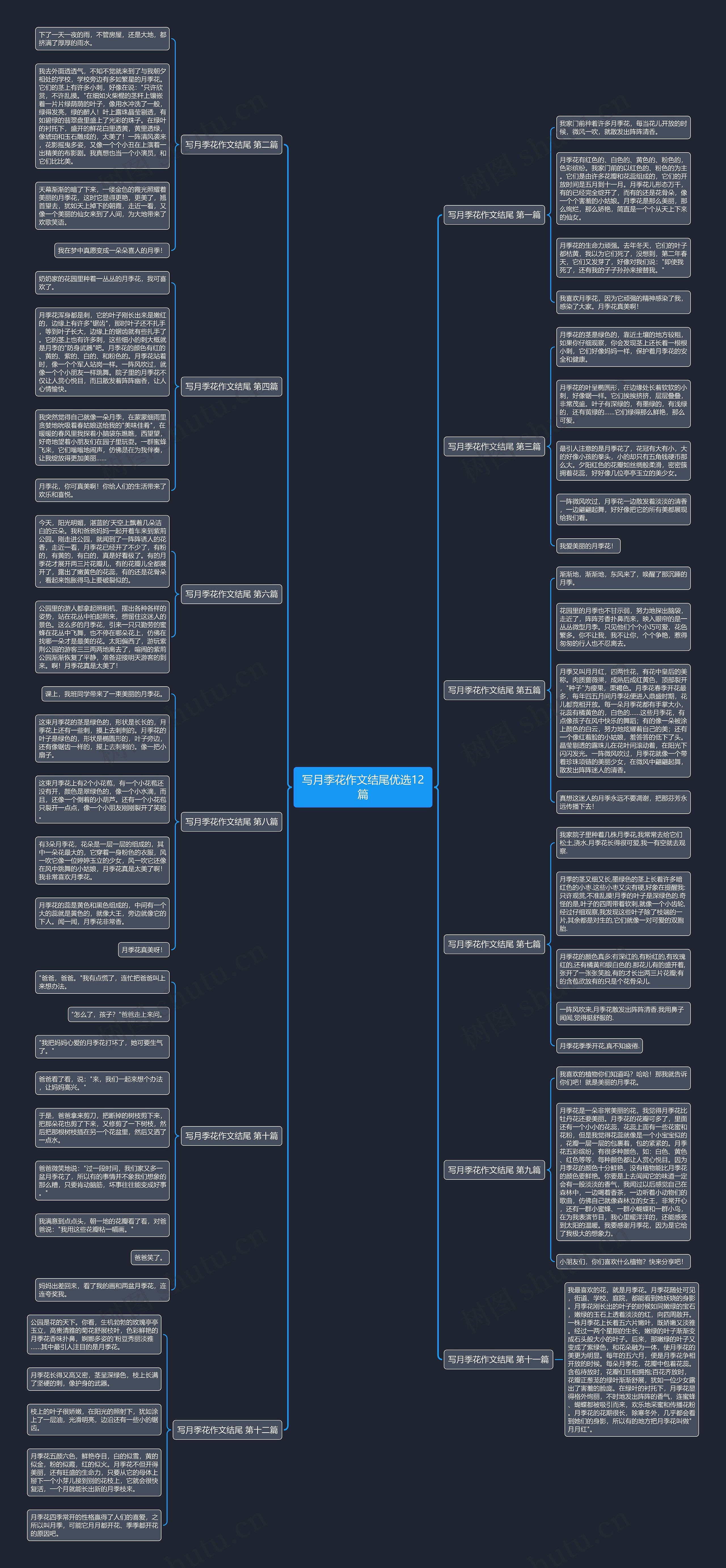 写月季花作文结尾优选12篇 写月季花作文结尾优选12篇