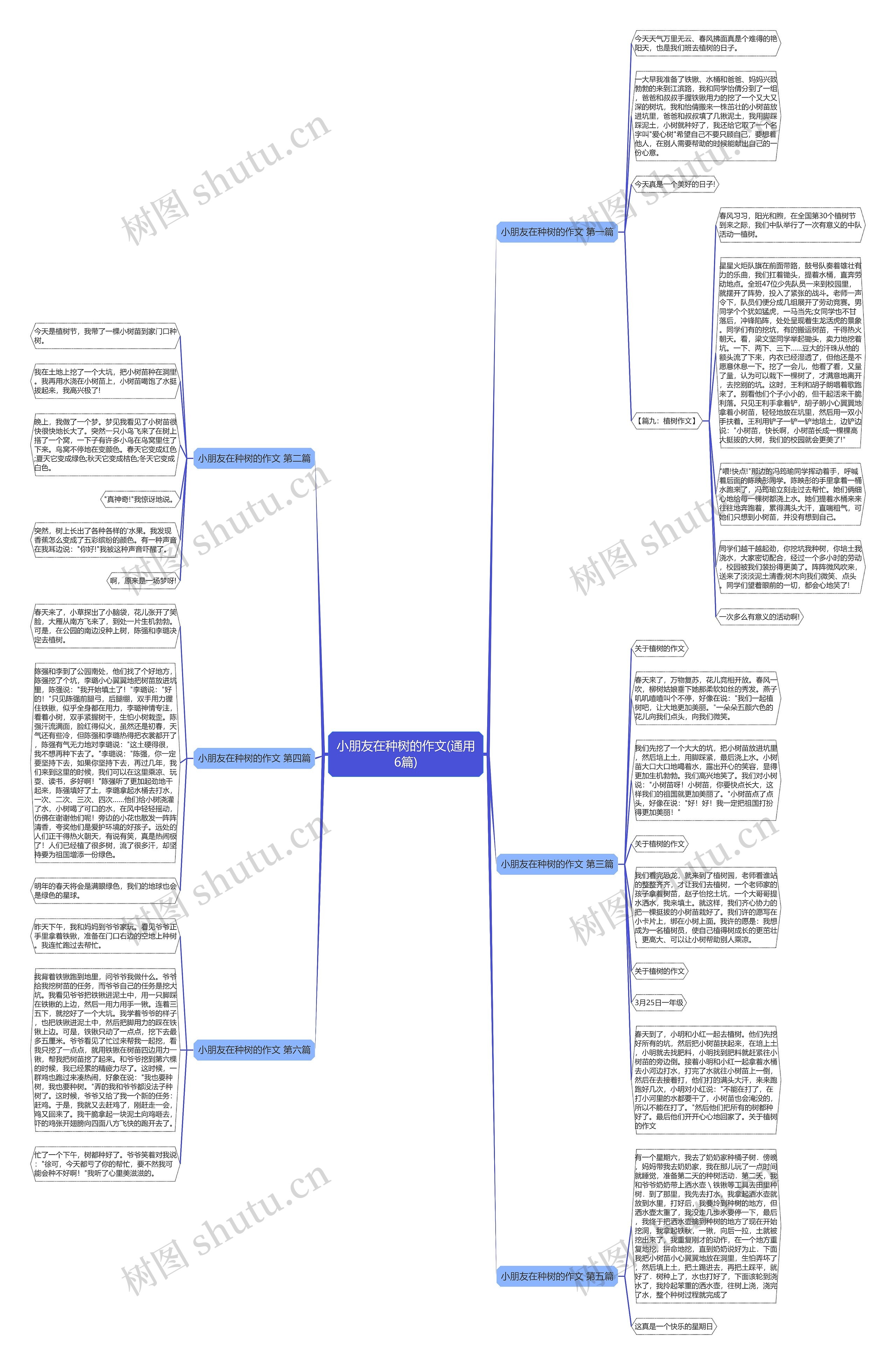 小朋友在种树的作文(通用6篇)思维导图