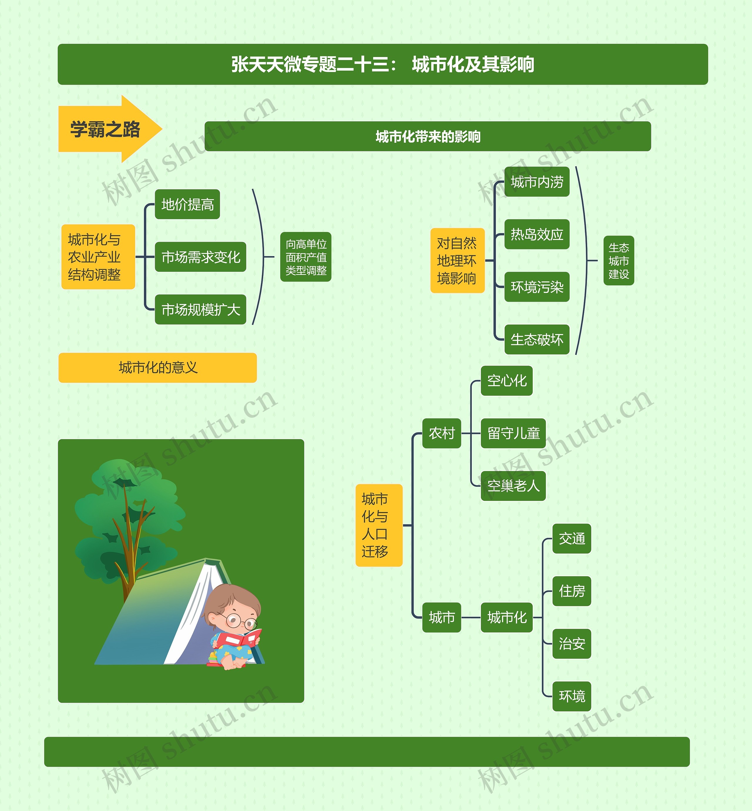 张天天微专题二十三： 城市化及其影响思维导图